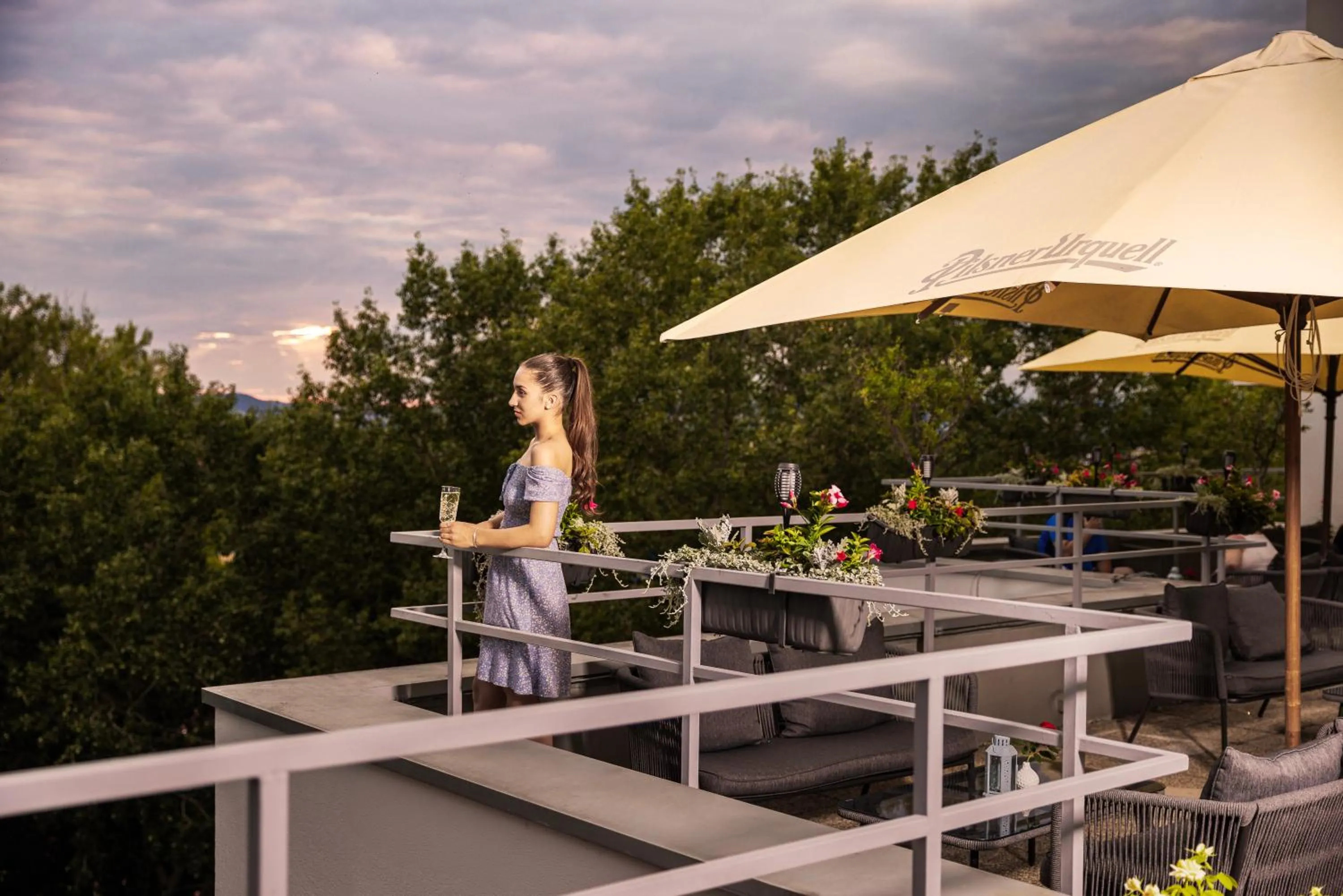 Lounge or bar in Hotel Park