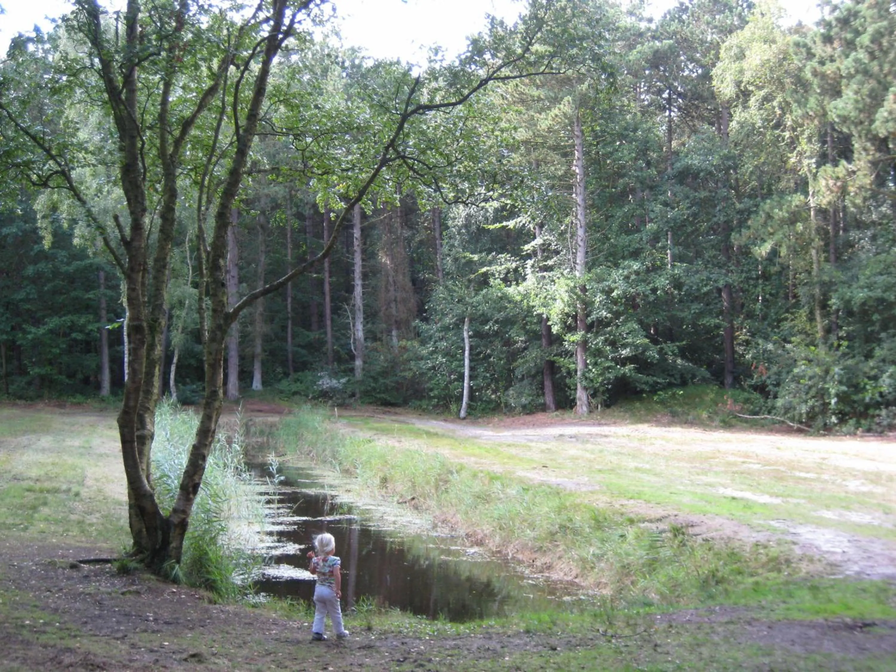 Other in De Cyprian Bed & Breakfast