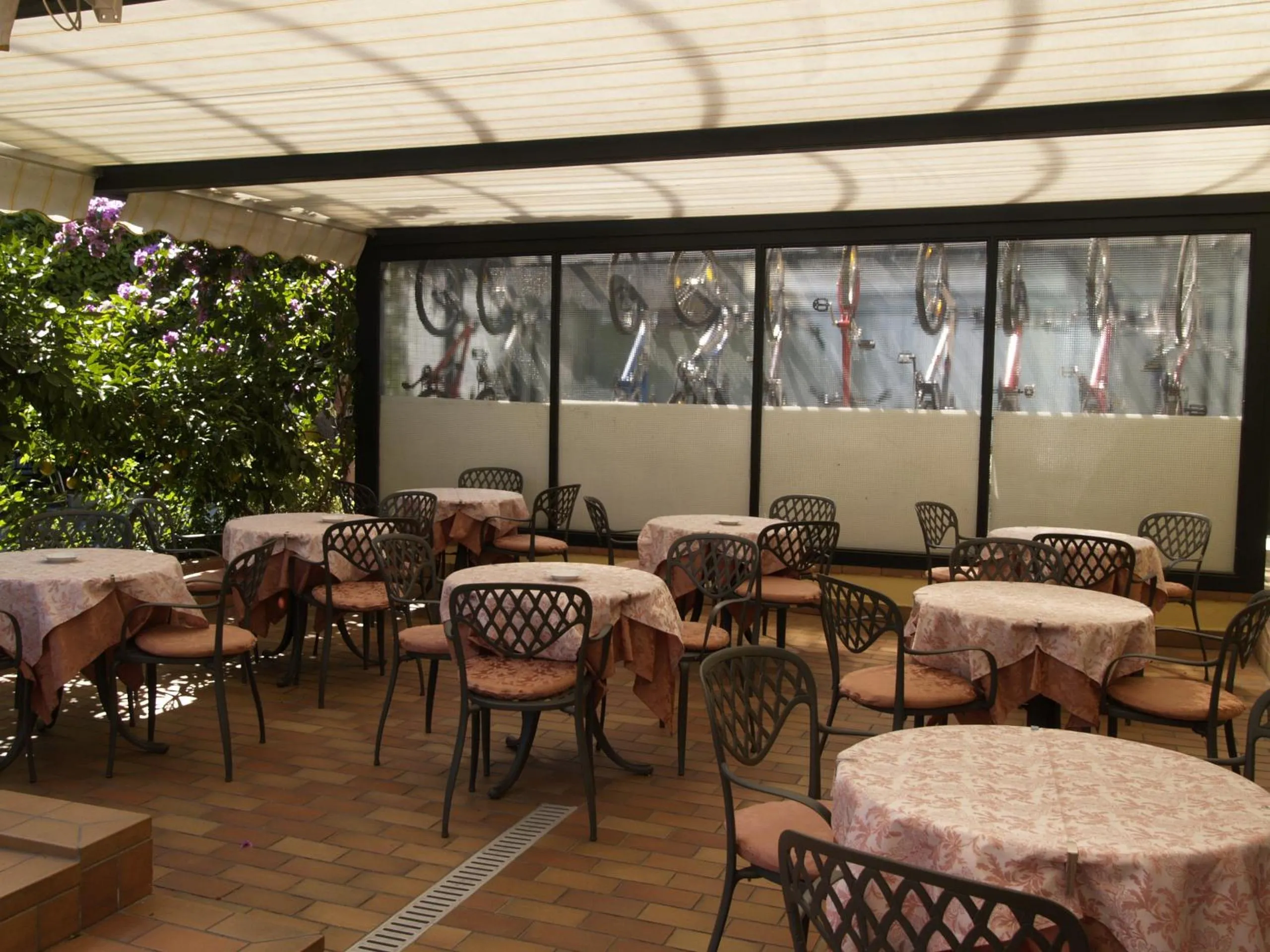 Patio in Hotel Miorelli