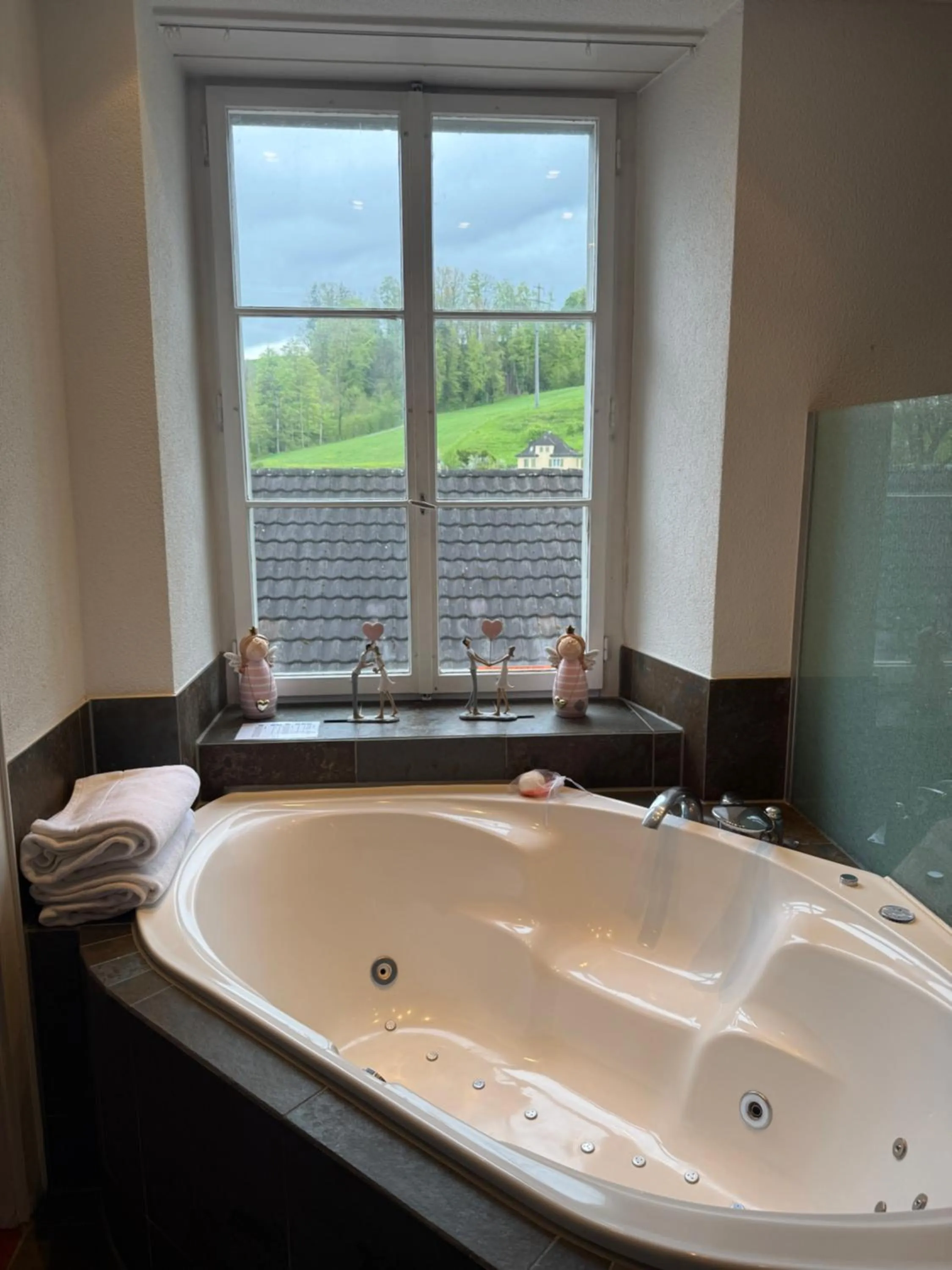 Hotel Krone Sihlbrugg