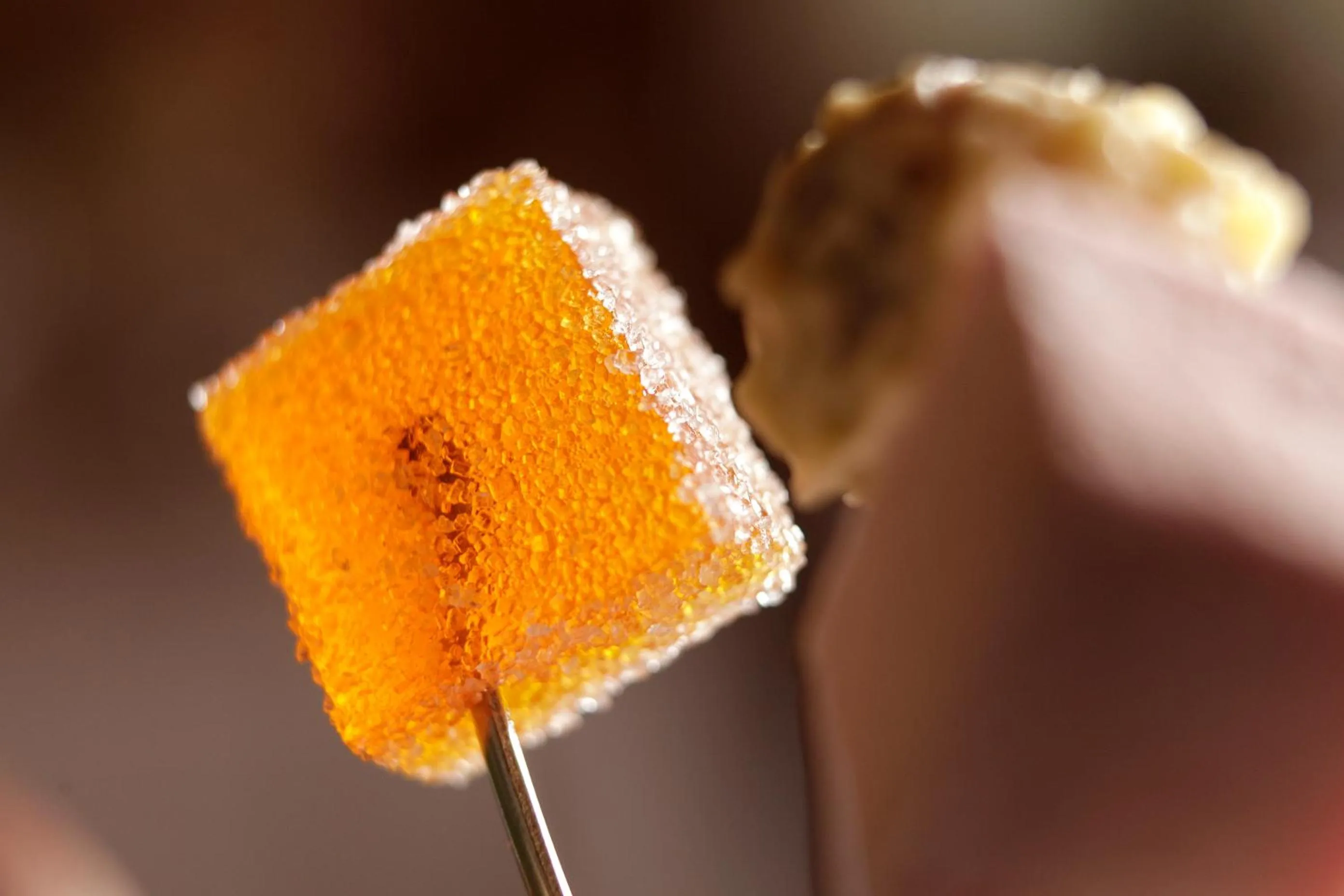 Food in Hotel Krone Sihlbrugg