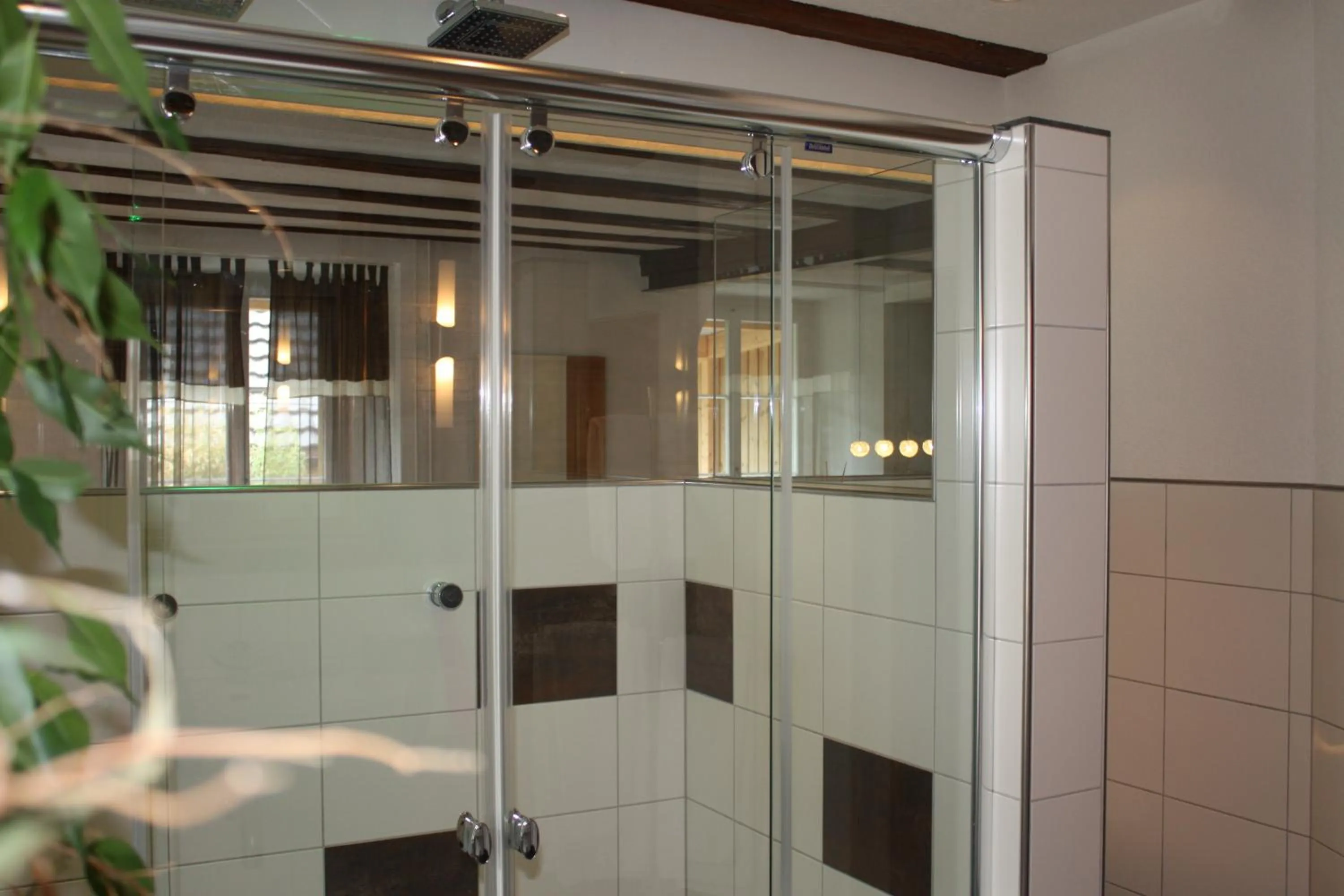 Shower in Hotel Krone Sihlbrugg