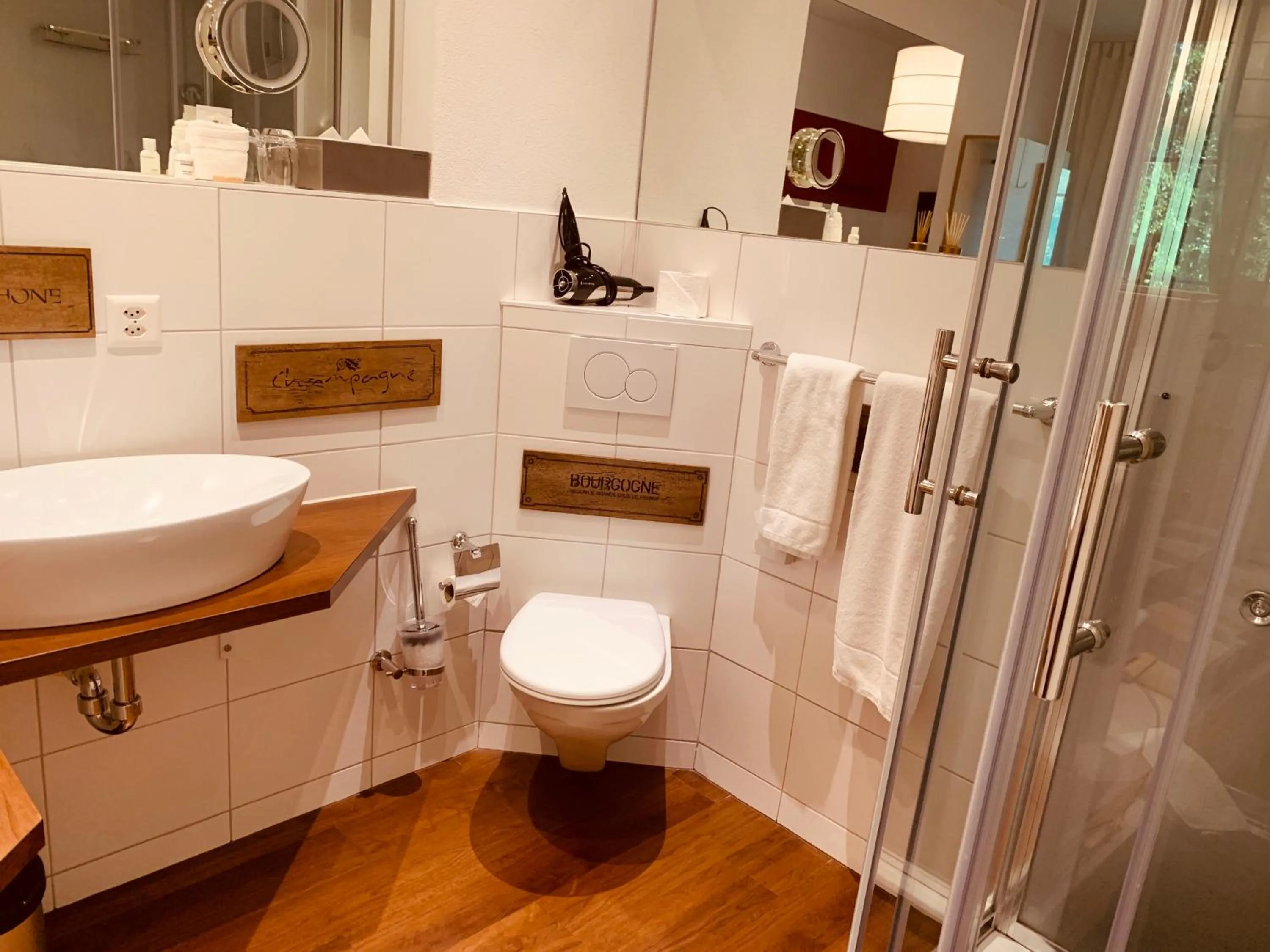 Shower in Hotel Krone Sihlbrugg