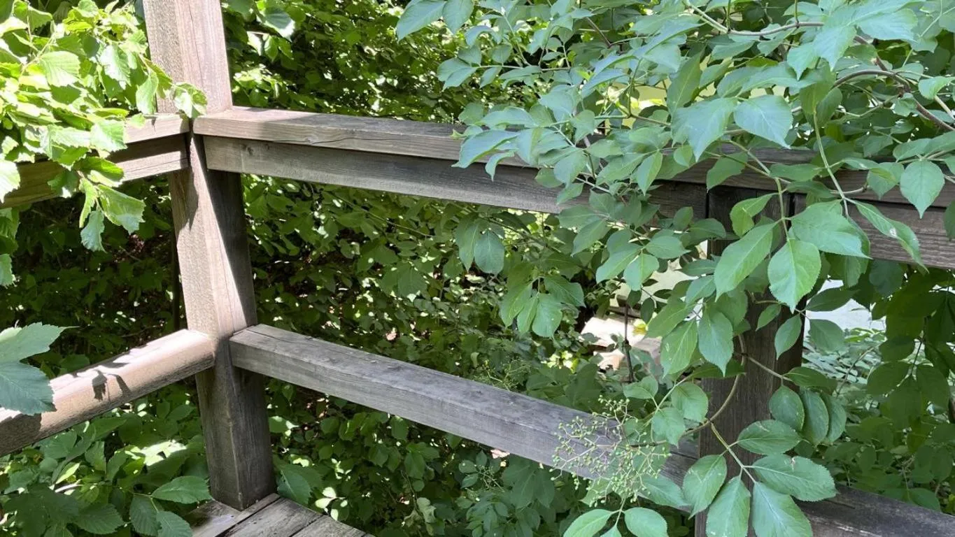 Hotel Krone Sihlbrugg