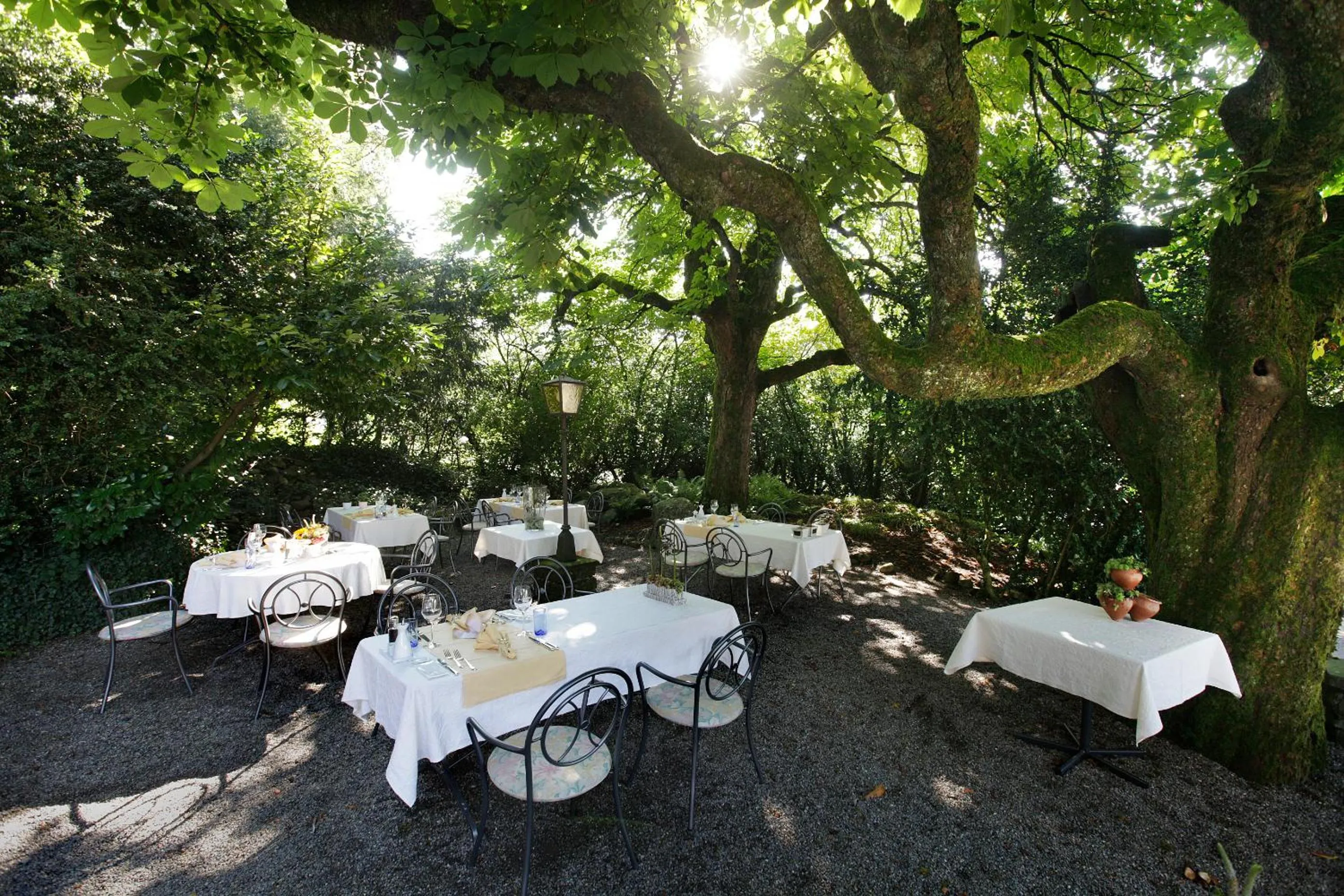 Garden in Hotel Krone Sihlbrugg