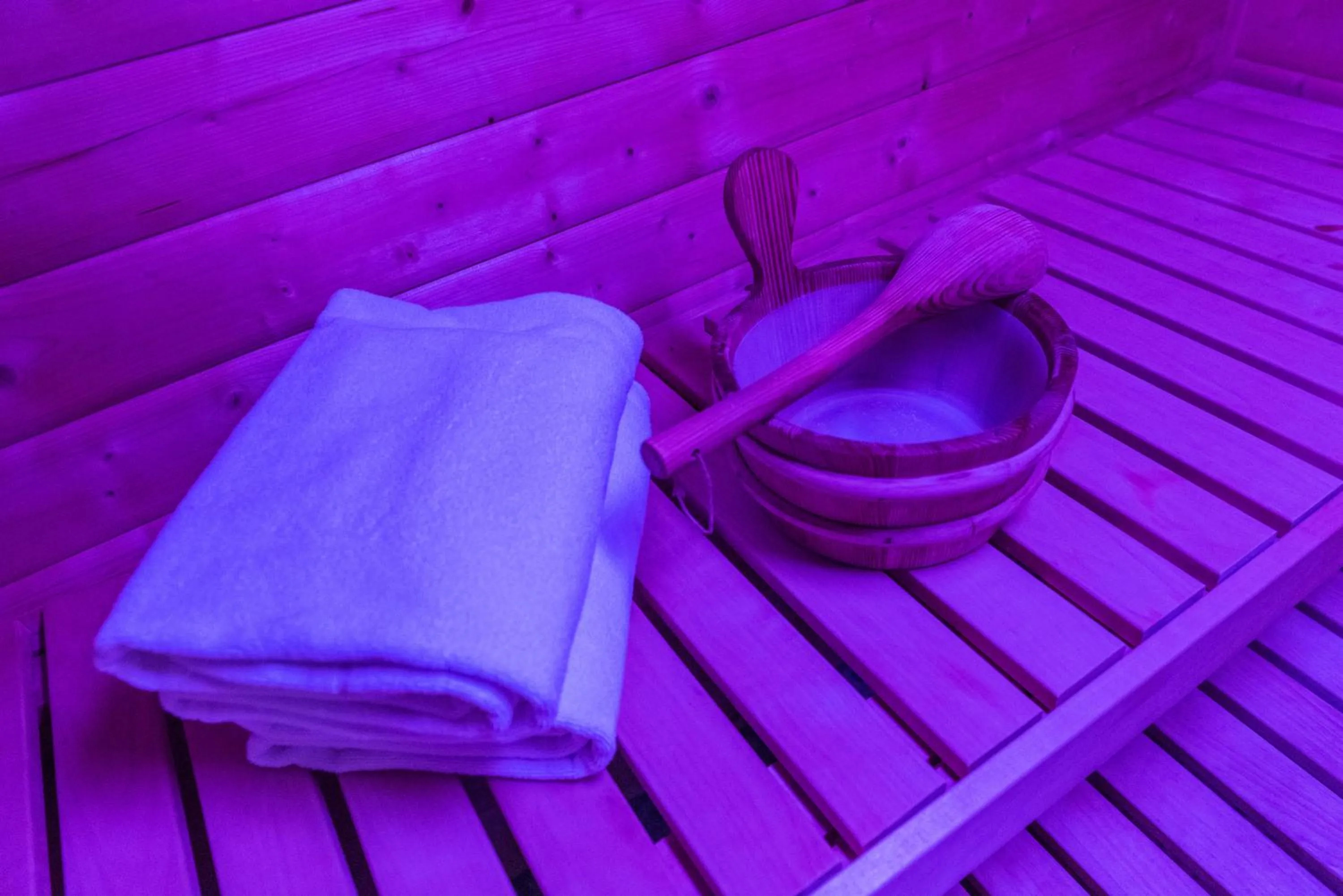 Sauna in Hotel Krone Sihlbrugg