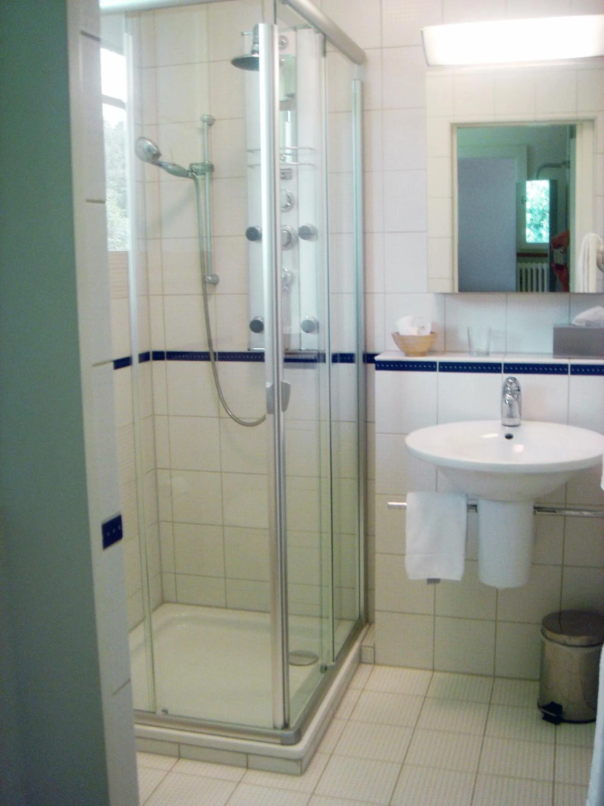 Shower in Hotel Krone Sihlbrugg