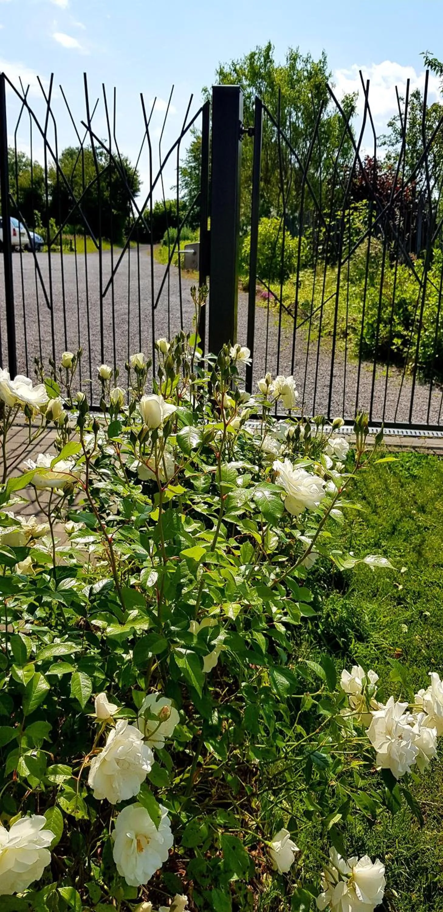 Garden in Il etait une ferme