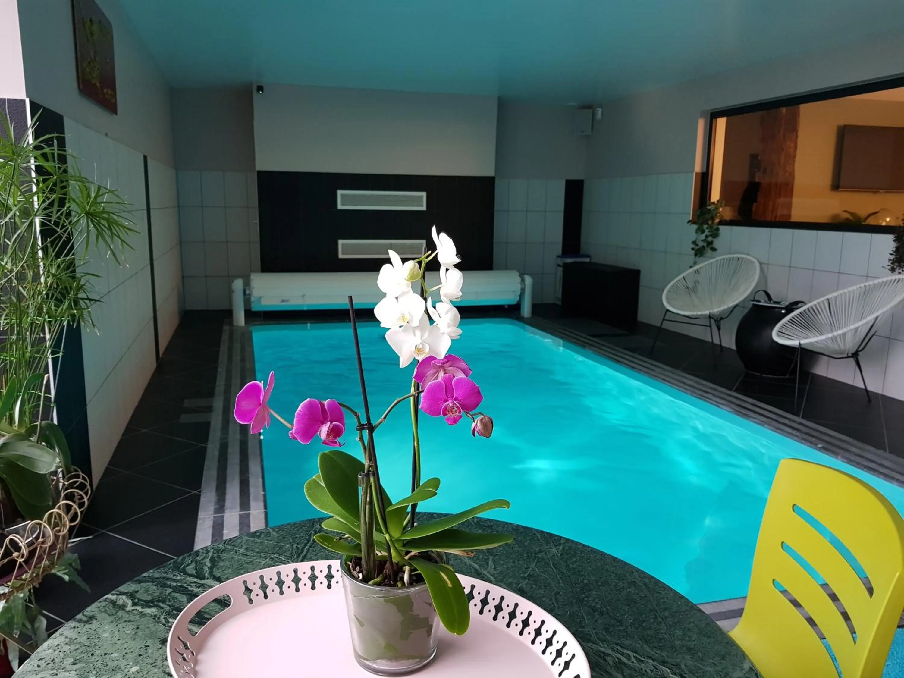 Swimming pool in Il etait une ferme