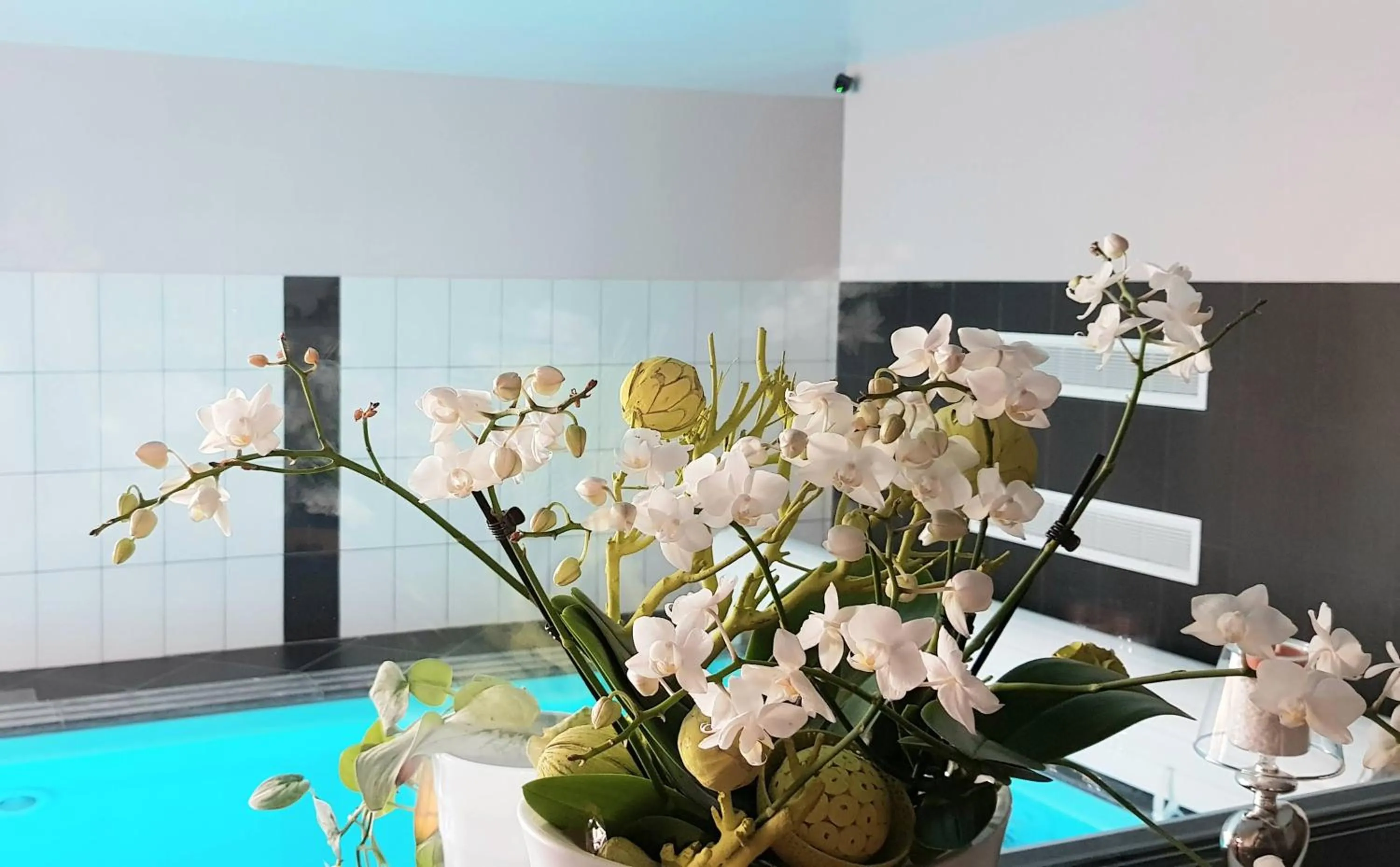 Swimming pool in Il etait une ferme