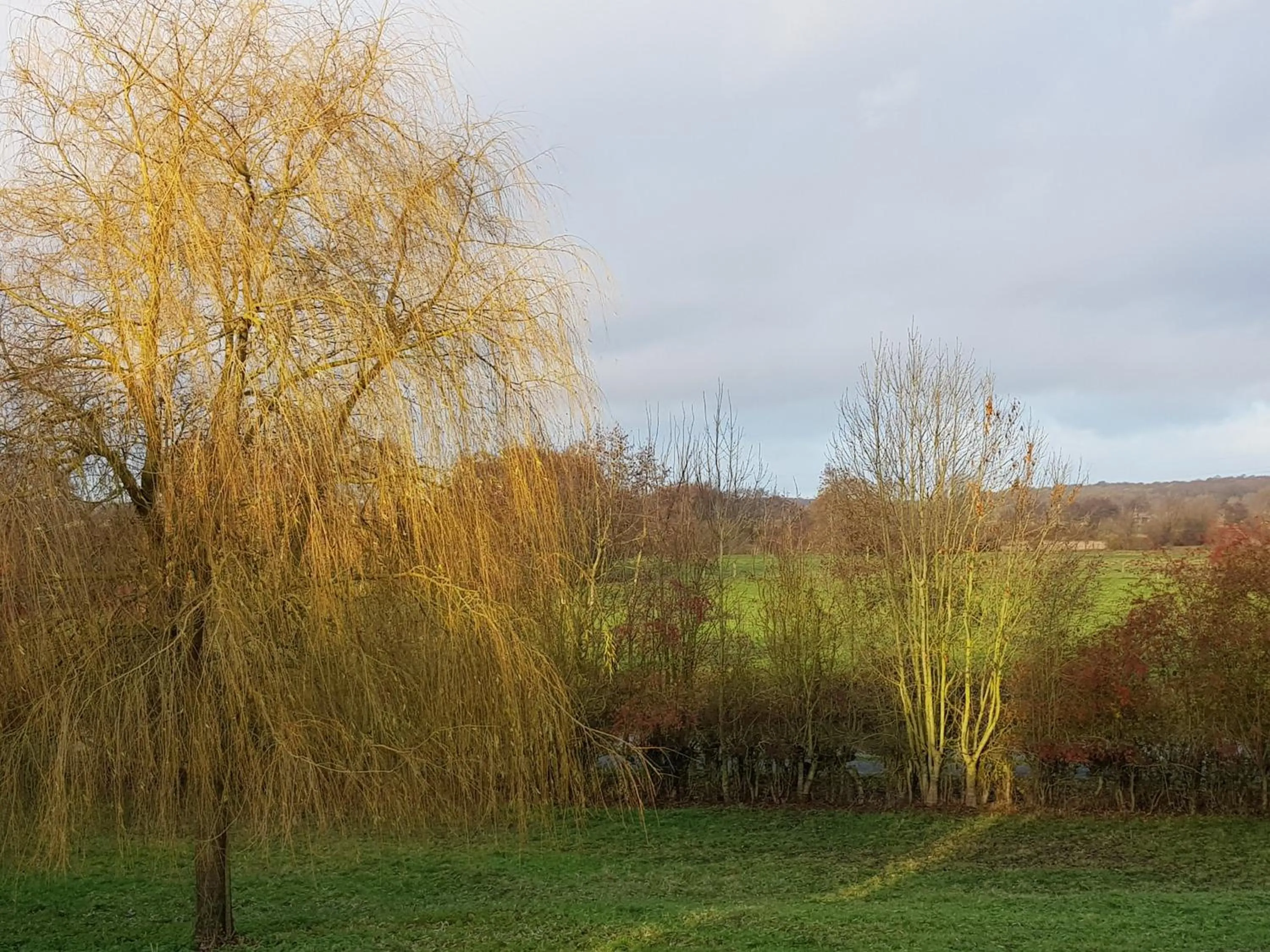 Natural landscape in Il etait une ferme