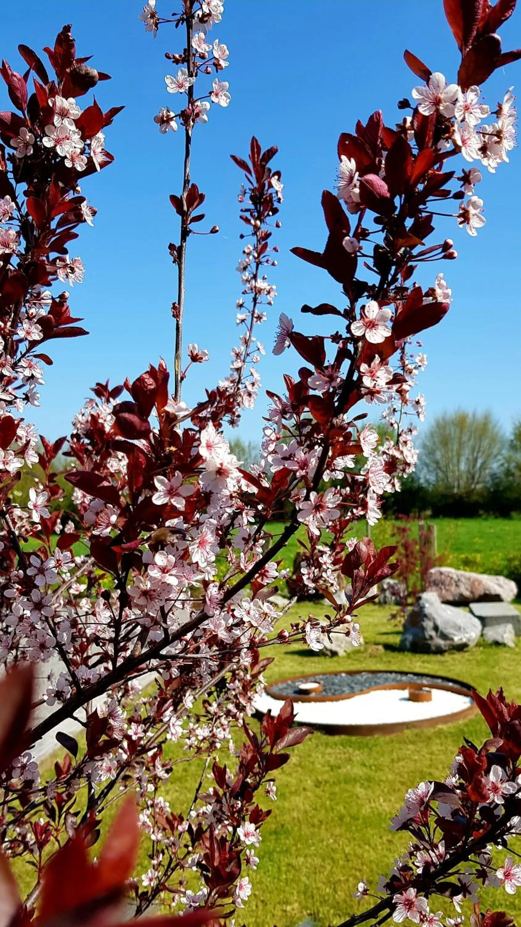 Garden view in Il etait une ferme