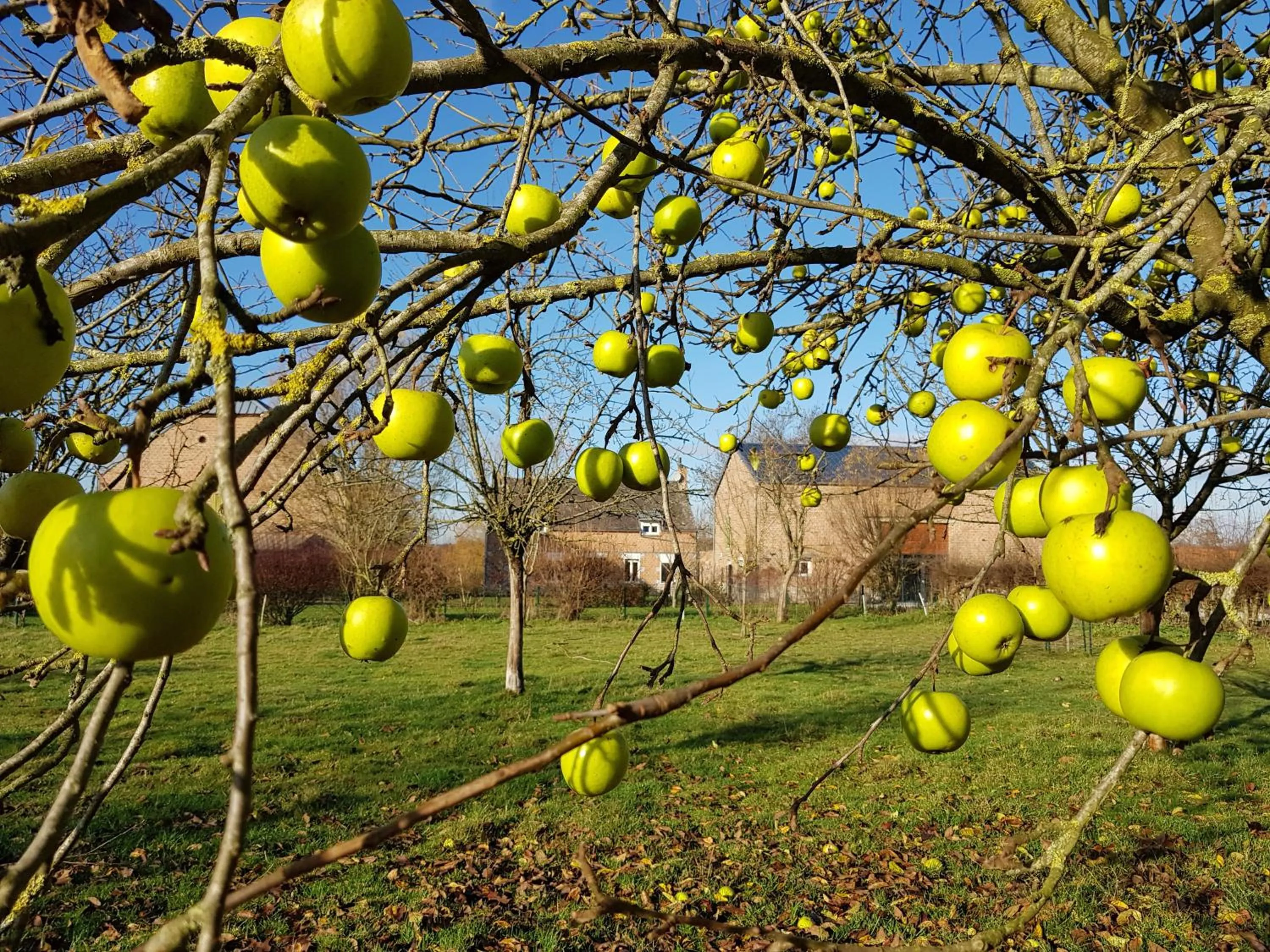 Garden in Il etait une ferme
