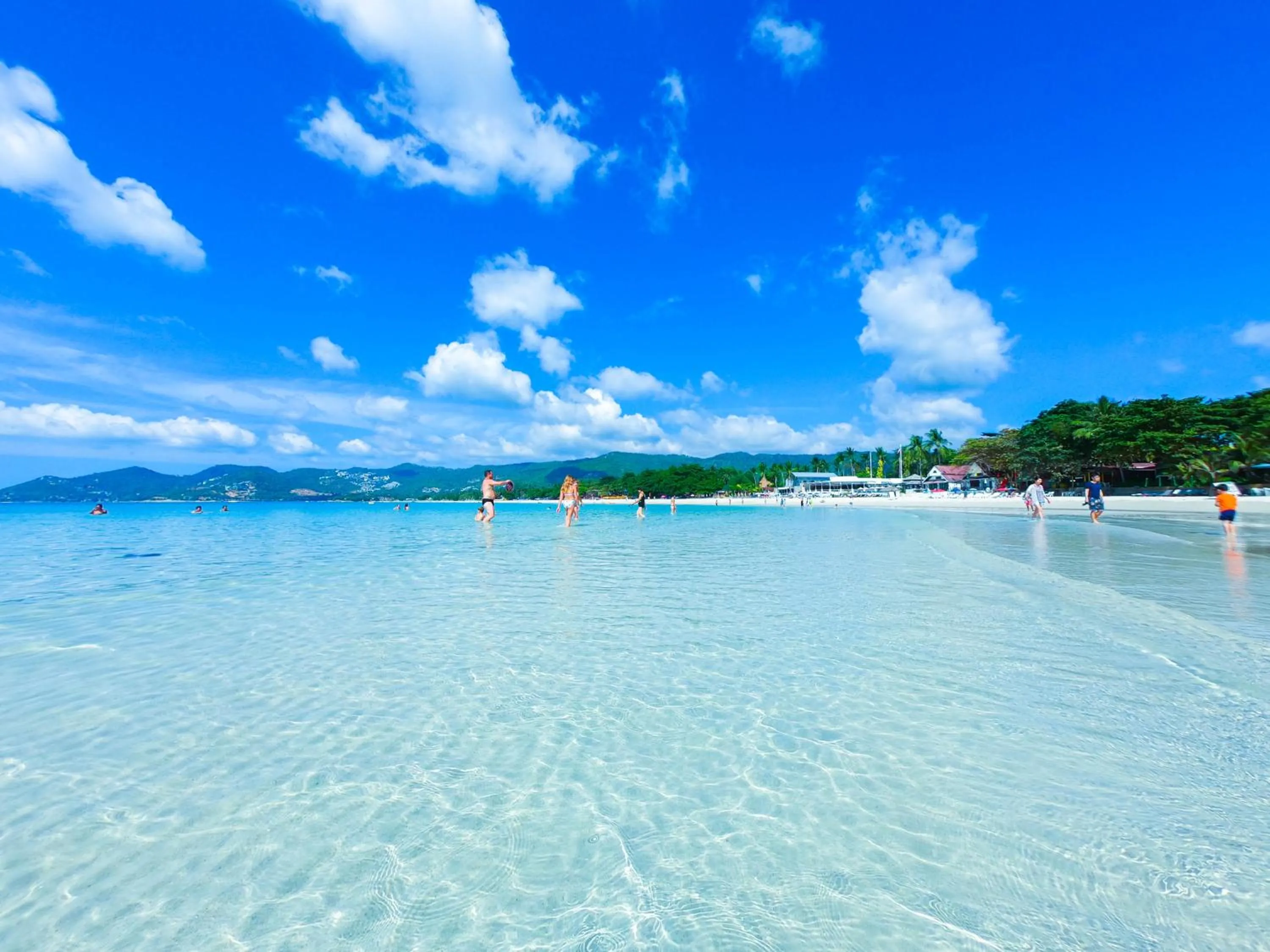 Beach in J4 Samui Hotel - SHA Plus