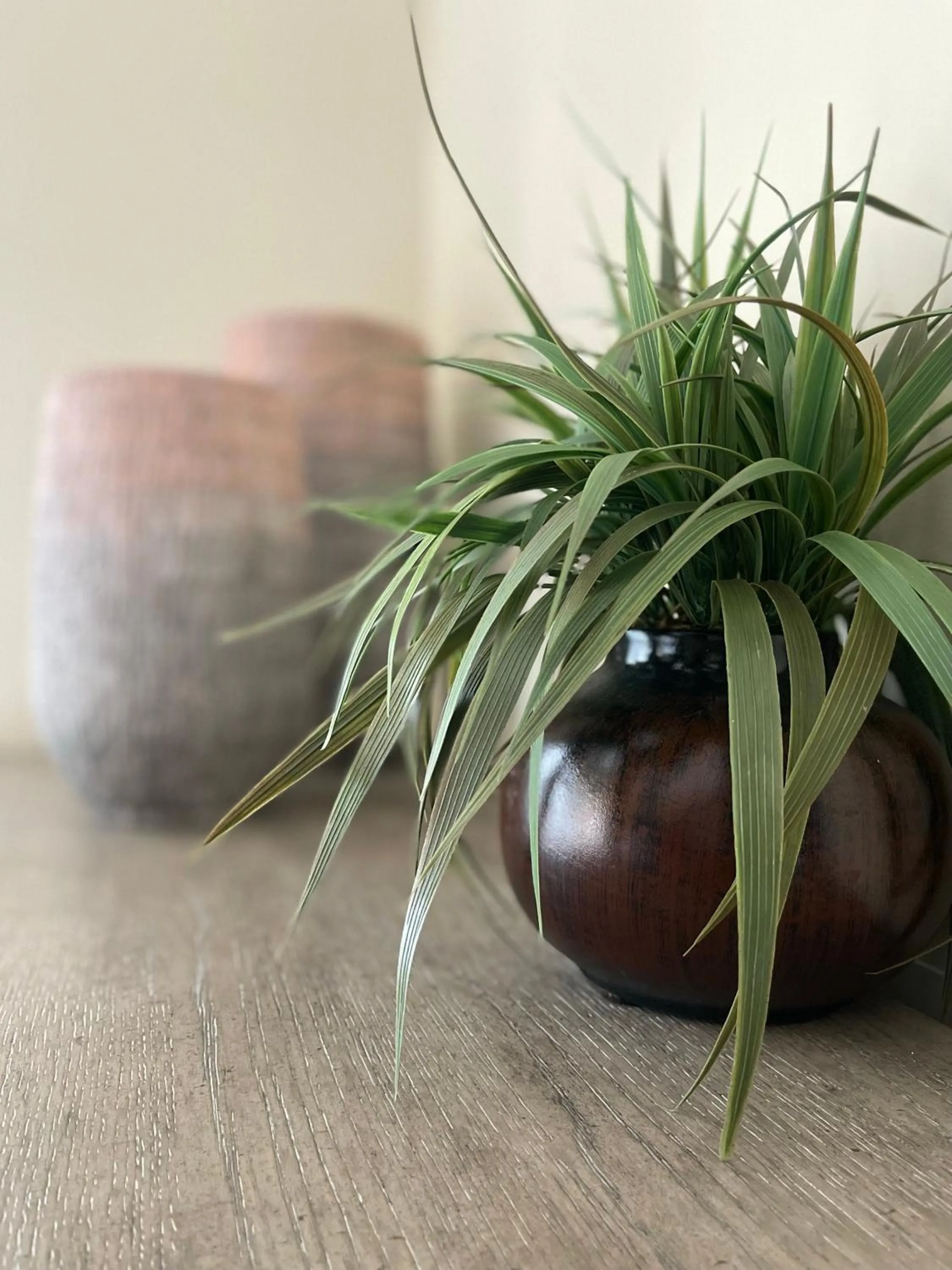 Magnolia Creek Lodge