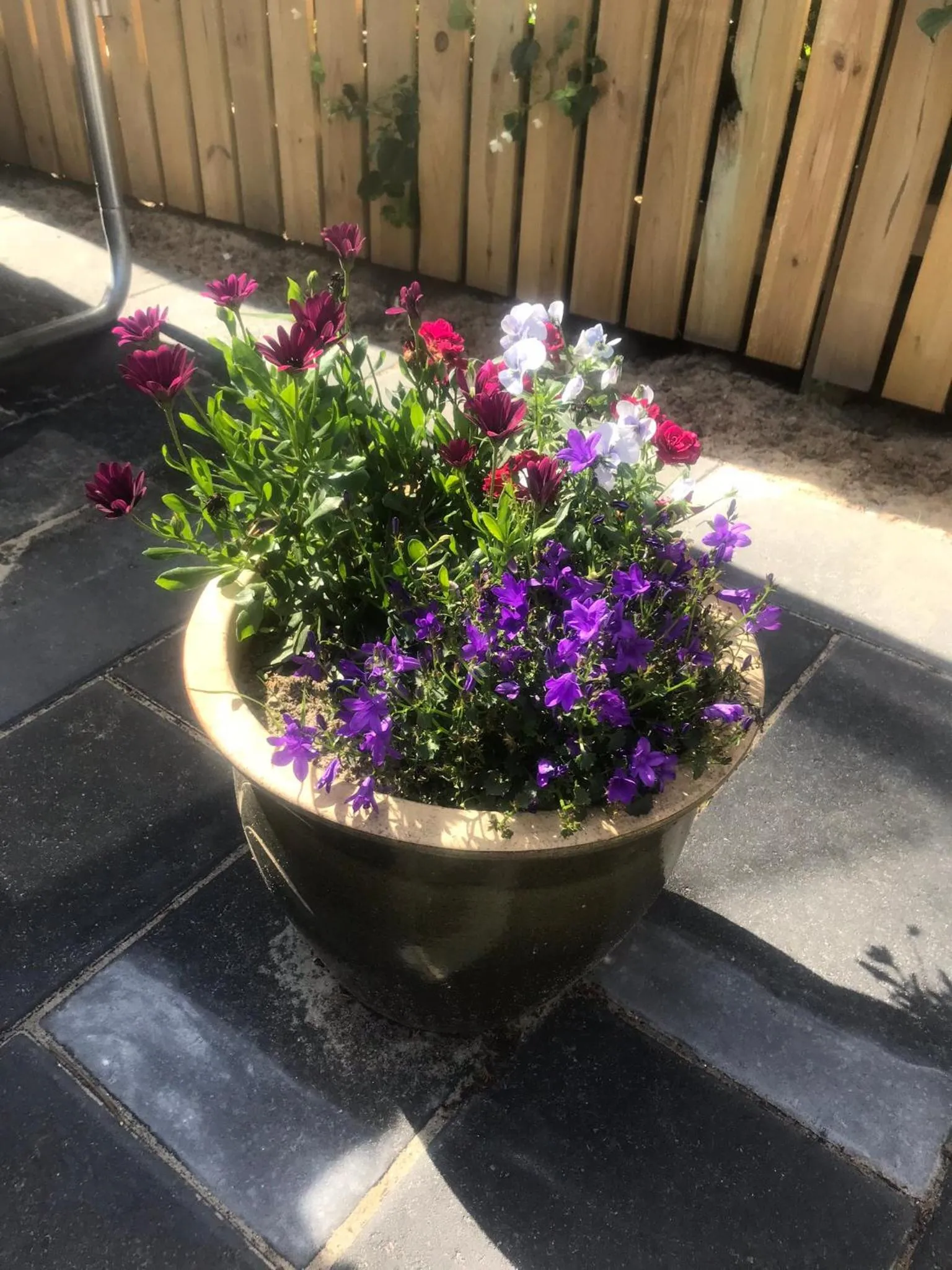 Garden in Søhuset