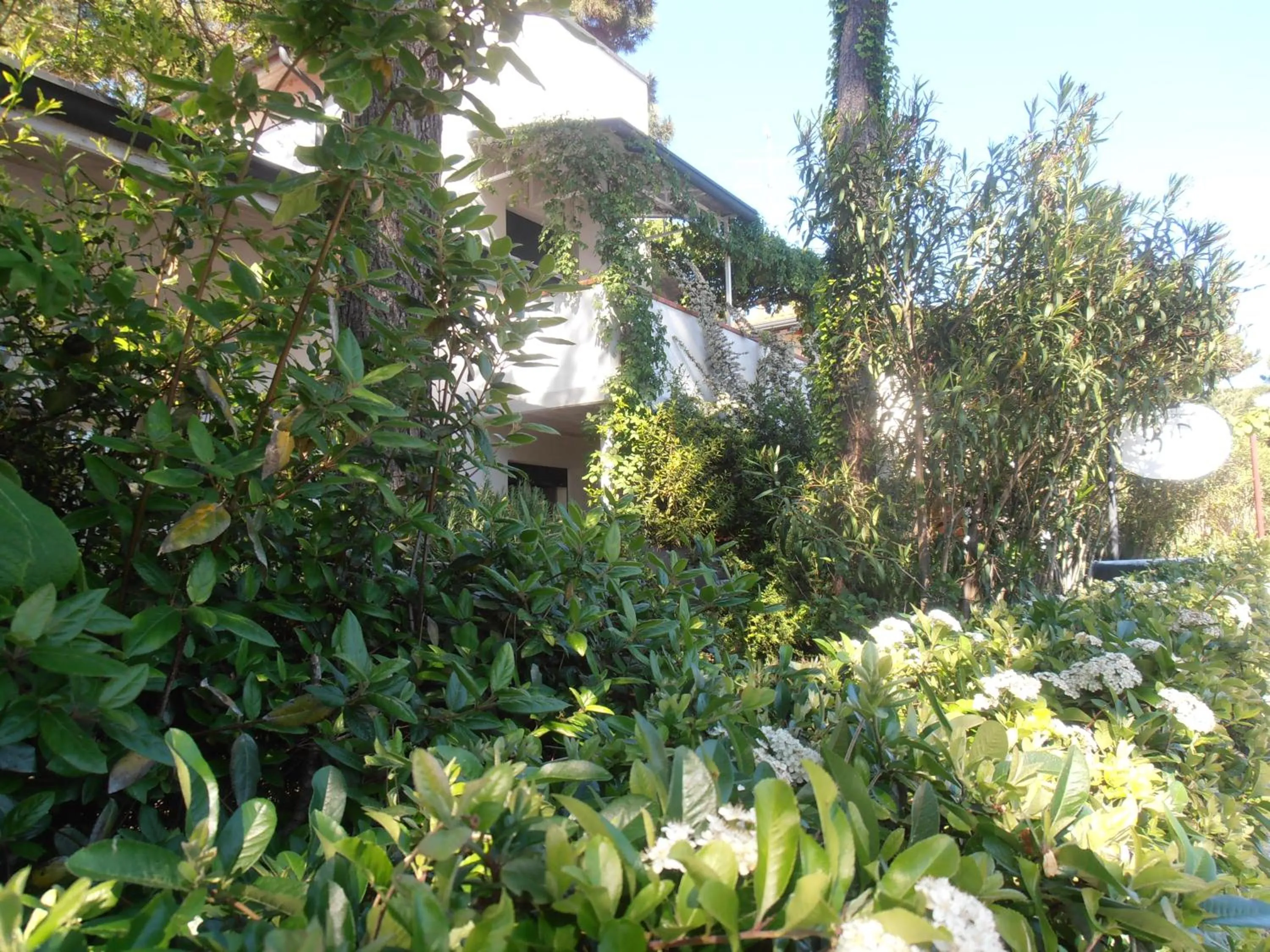 Property Building in B&B Amici Miei