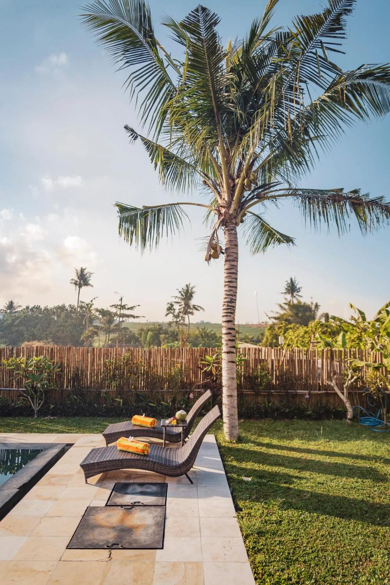 Garden in Umah Nugraha