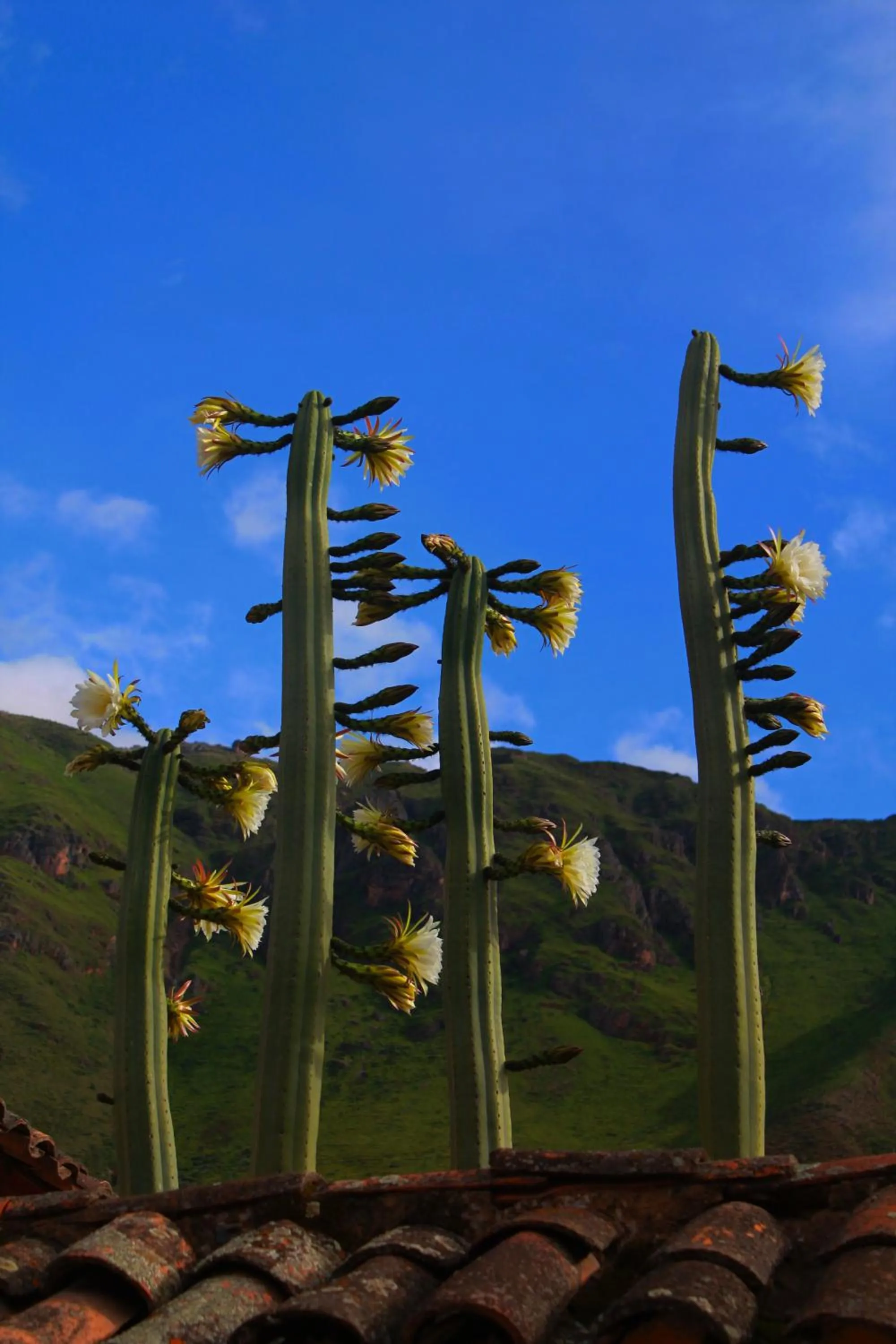 Off site in SAUCE Hotel Boutique