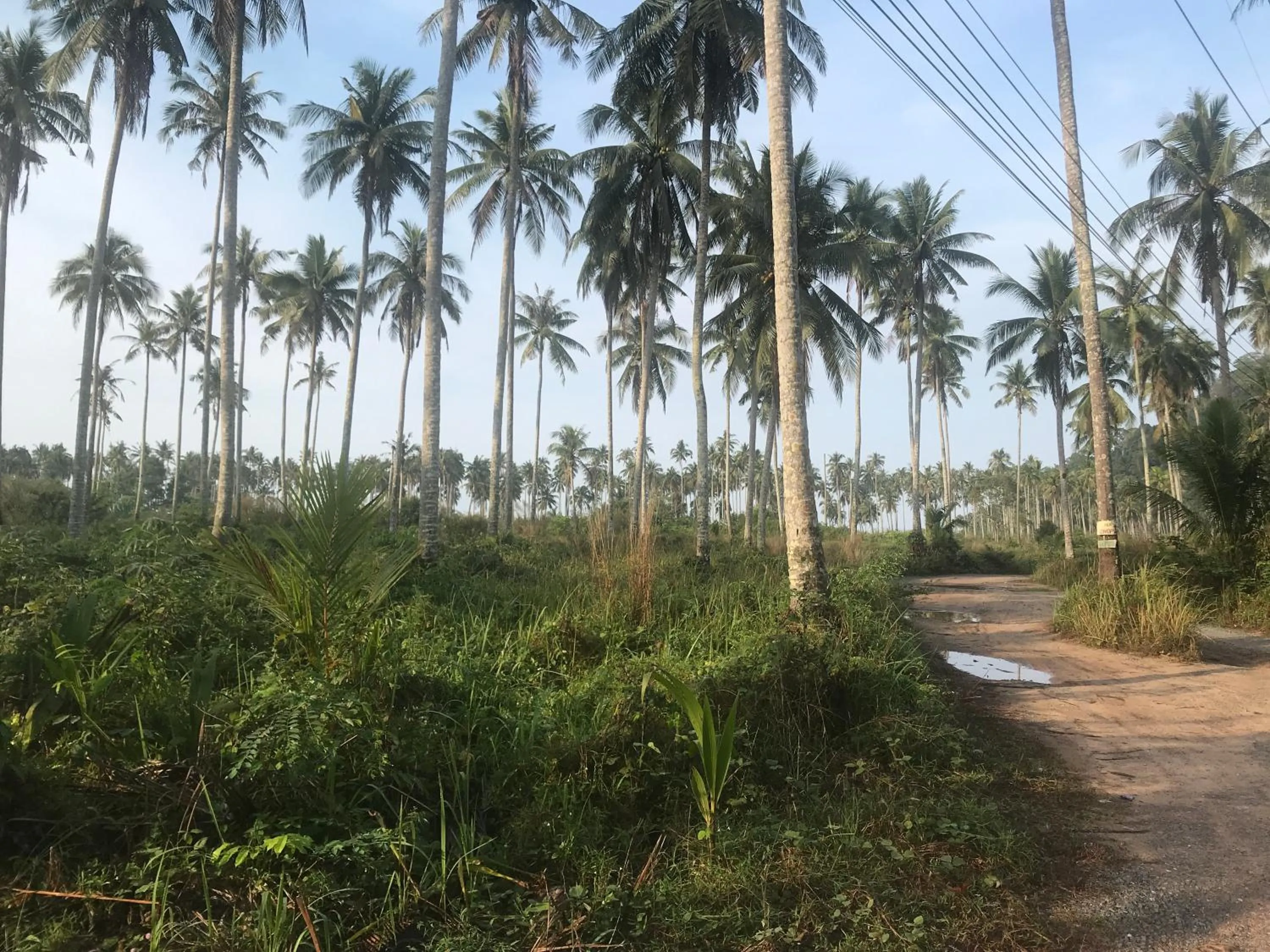 Property building in Lee Red House