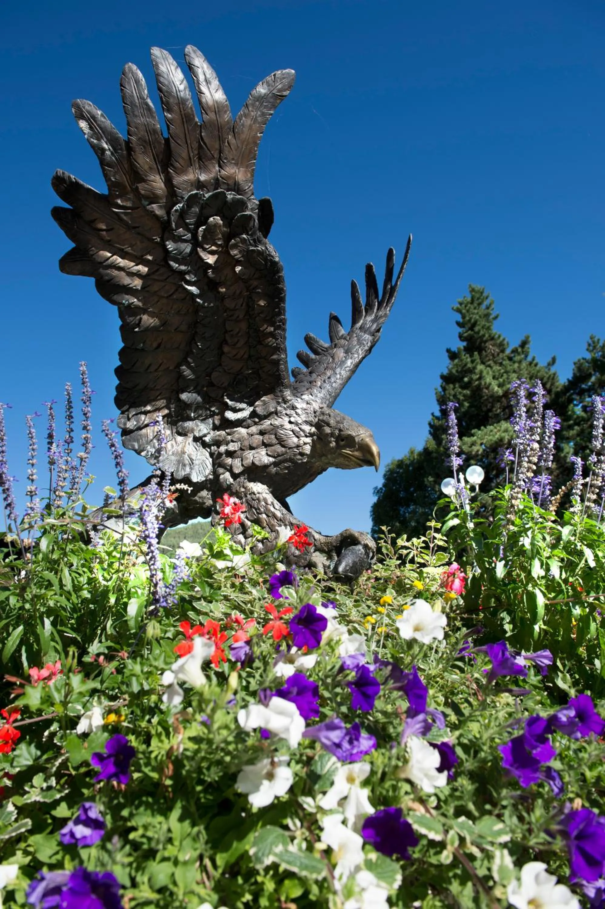 Property building in Activehotel Diana