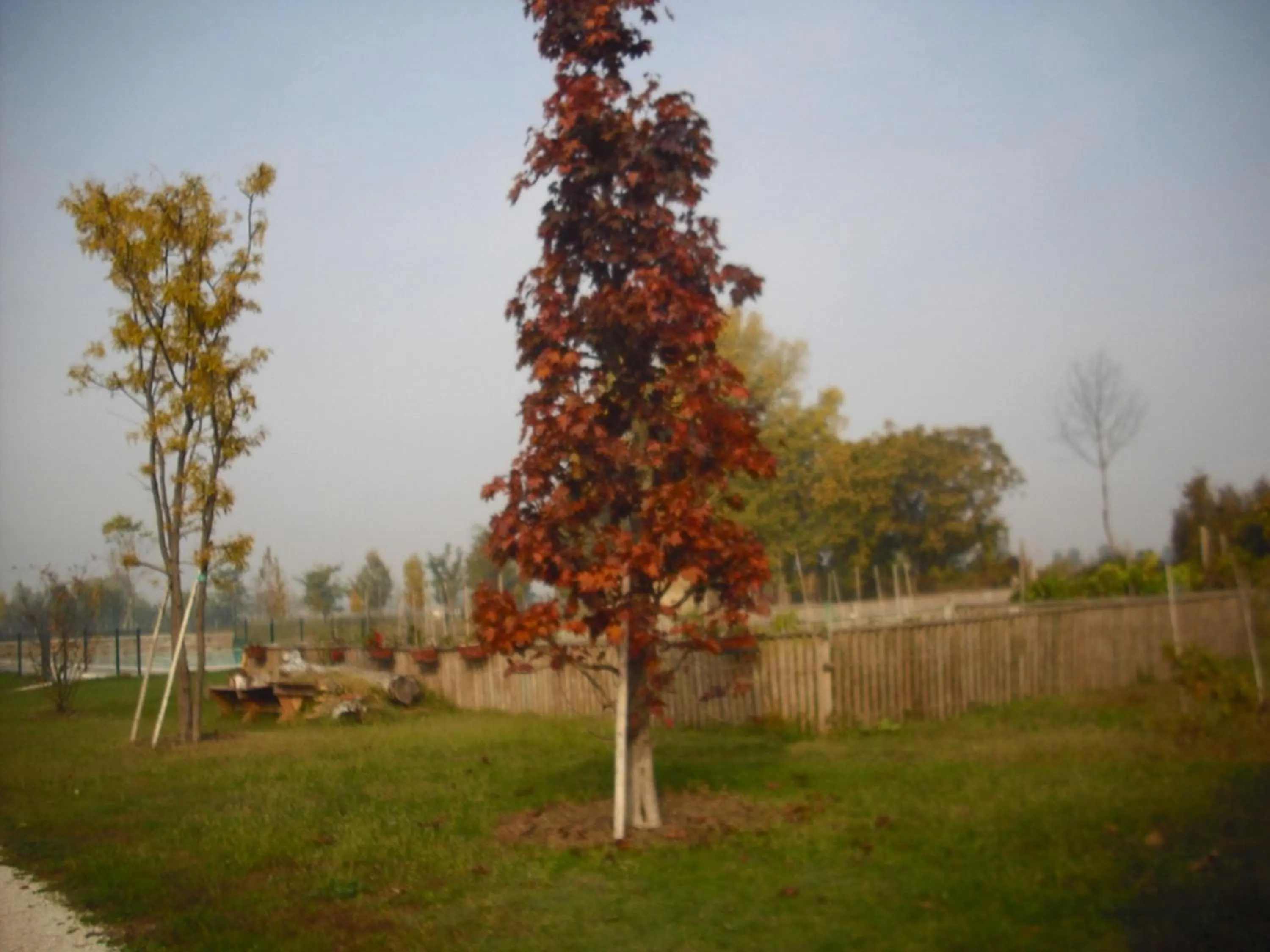 Day in La Garzaga Turismo Rurale