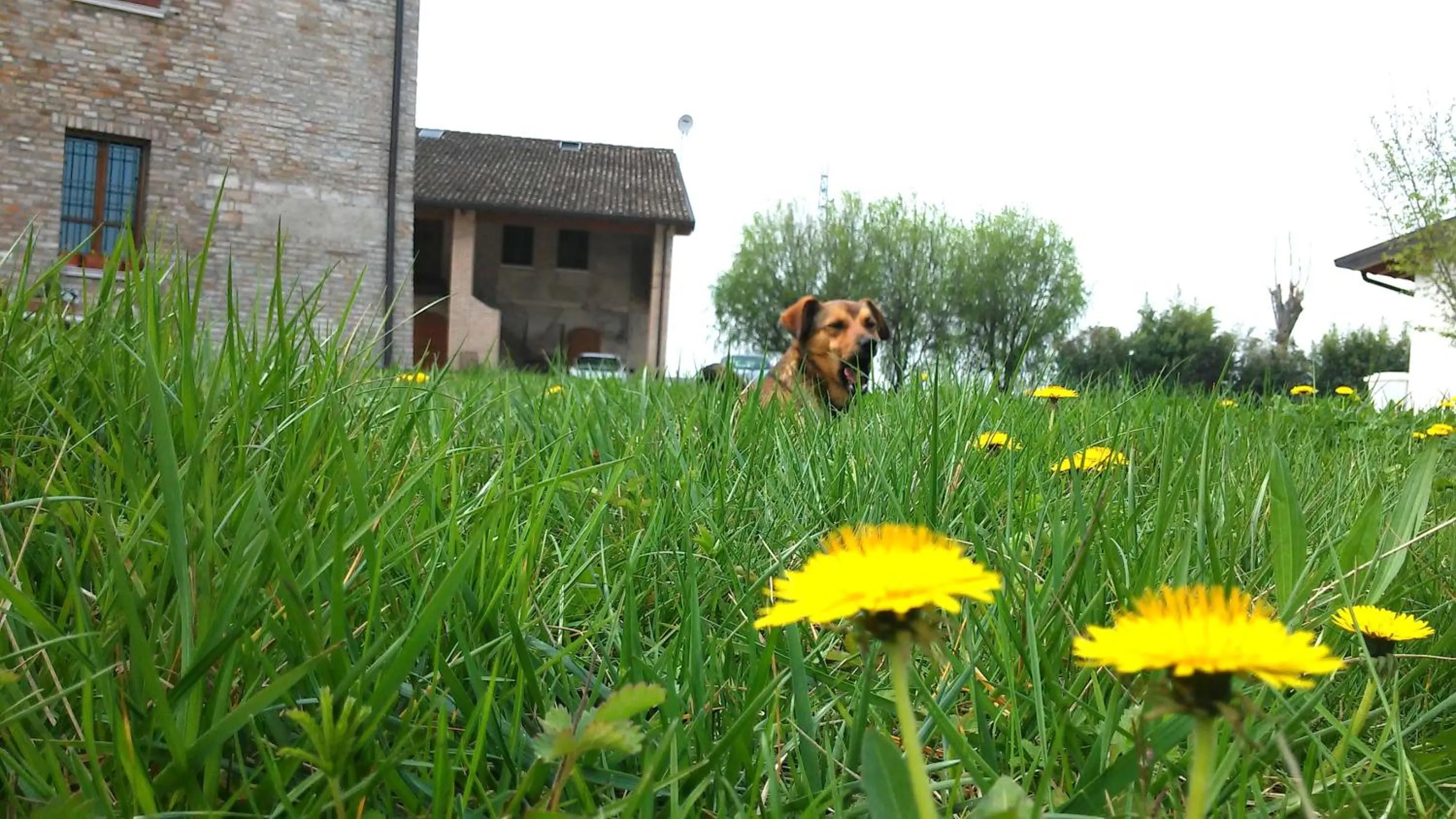 Garden in La Garzaga Turismo Rurale