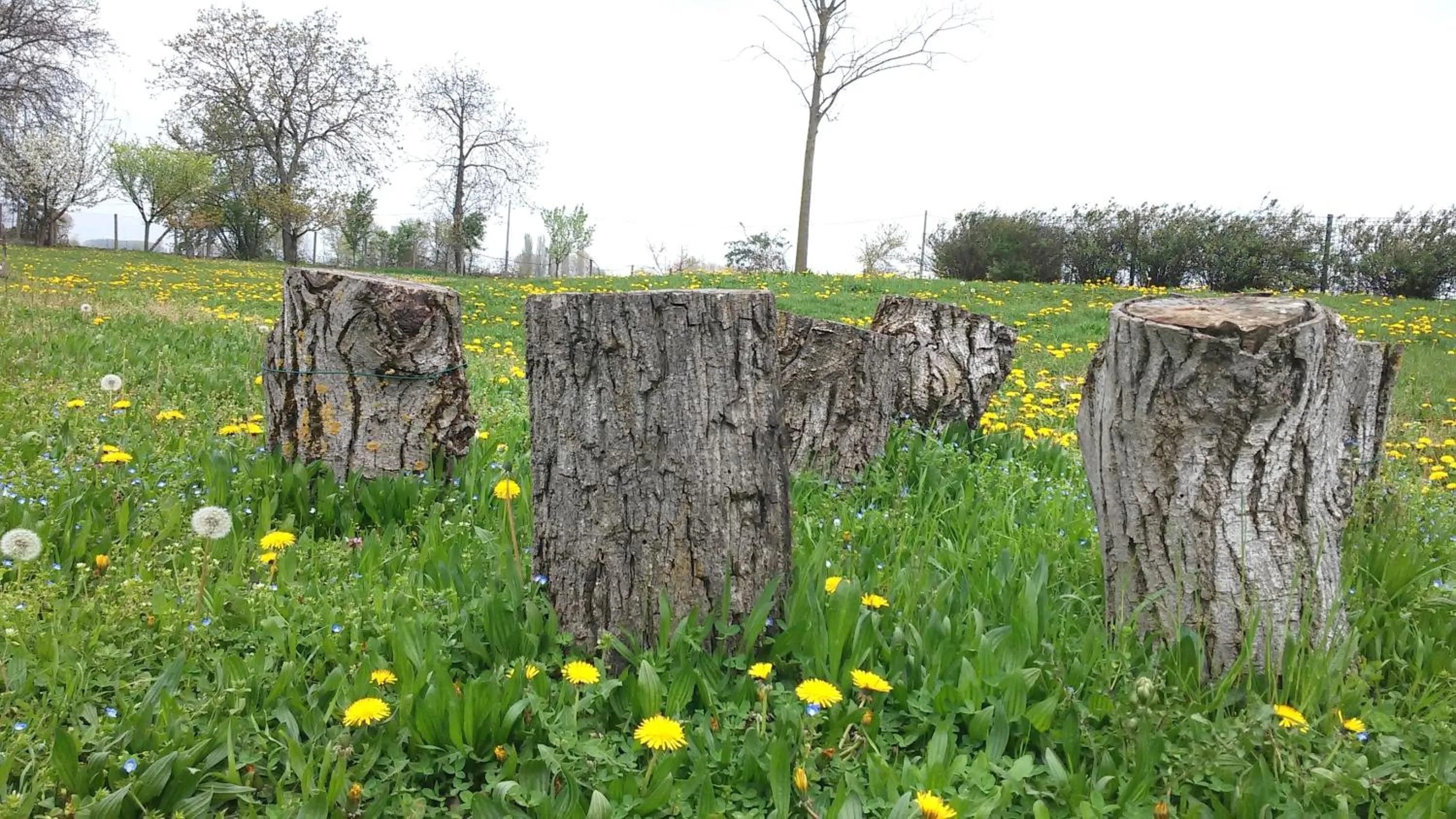 Garden in La Garzaga Turismo Rurale