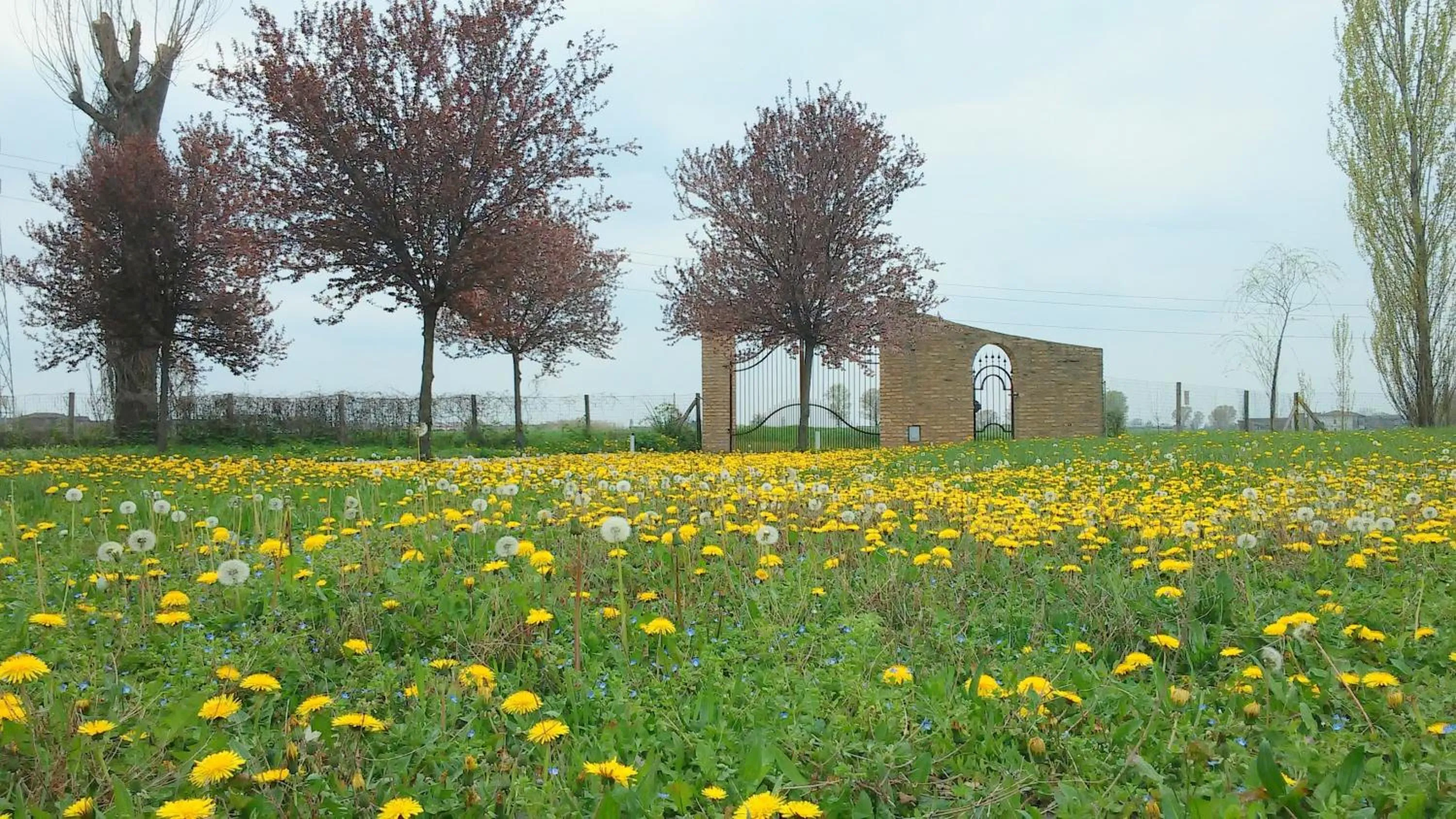 Garden in La Garzaga Turismo Rurale