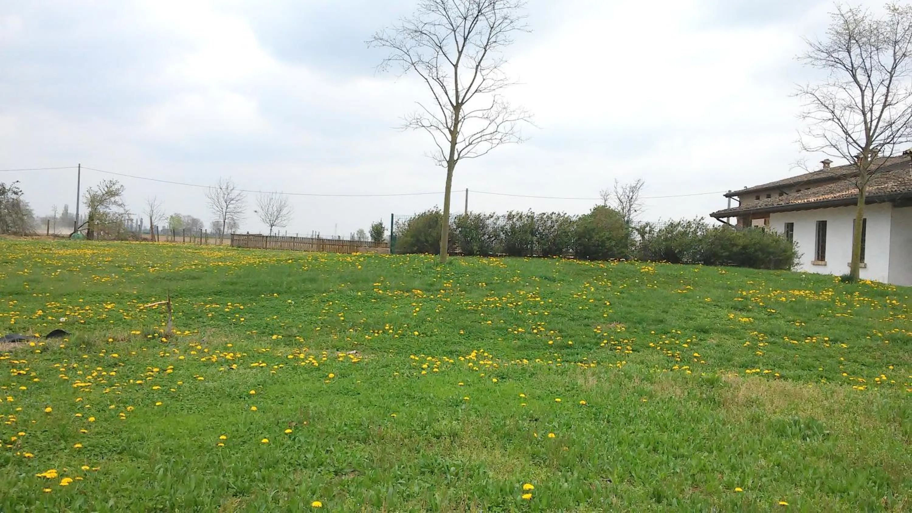 Garden in La Garzaga Turismo Rurale