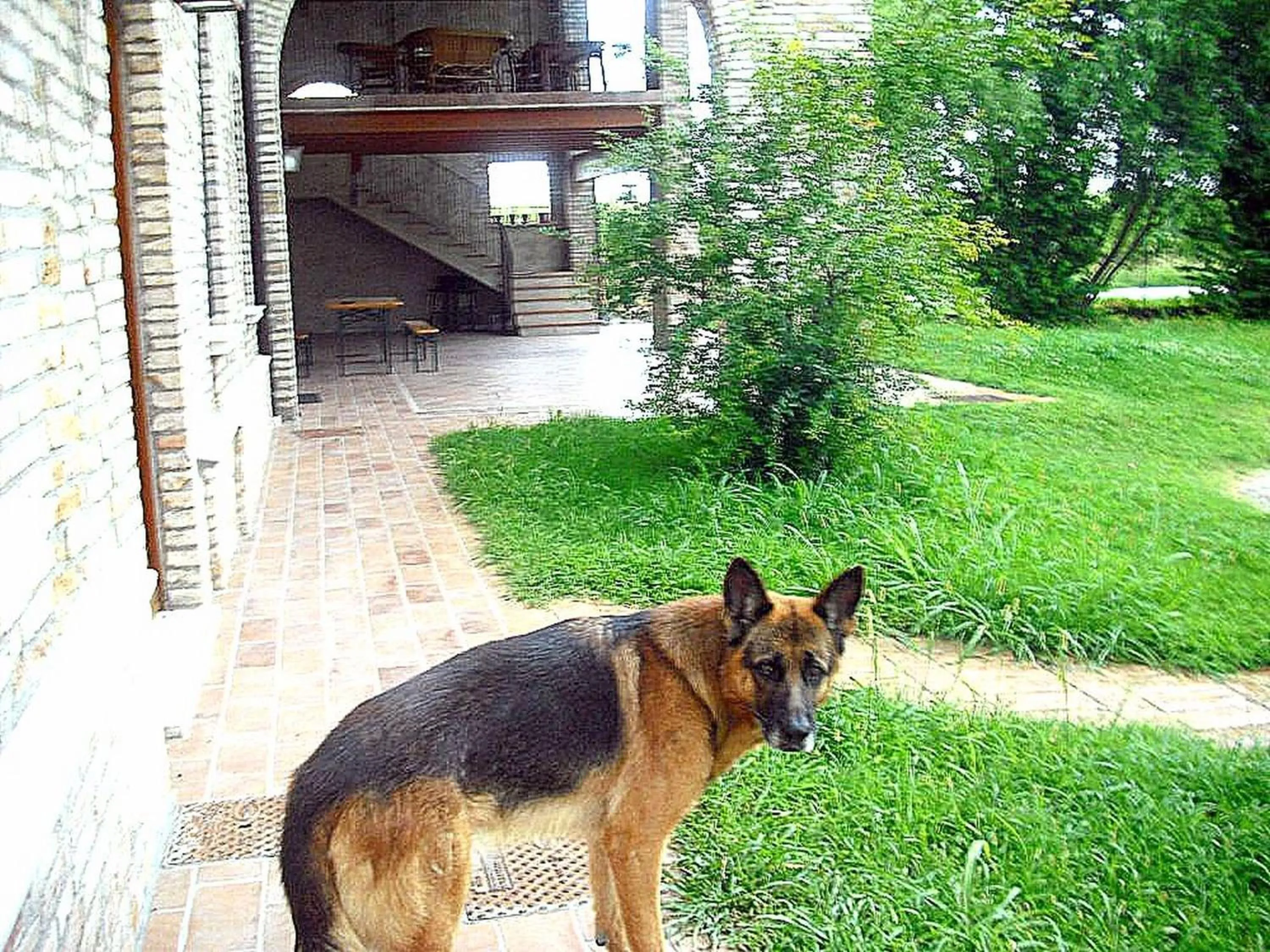 Pets in La Garzaga Turismo Rurale