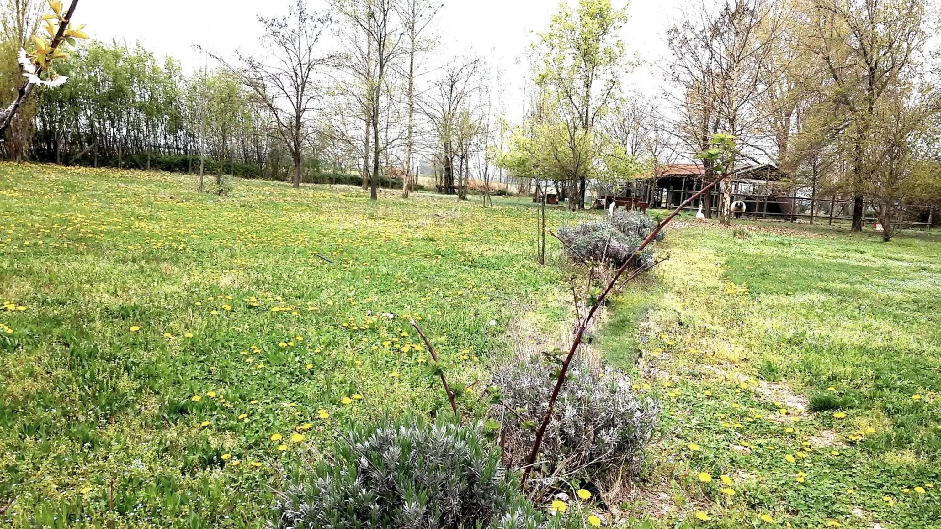Area and facilities in La Garzaga Turismo Rurale