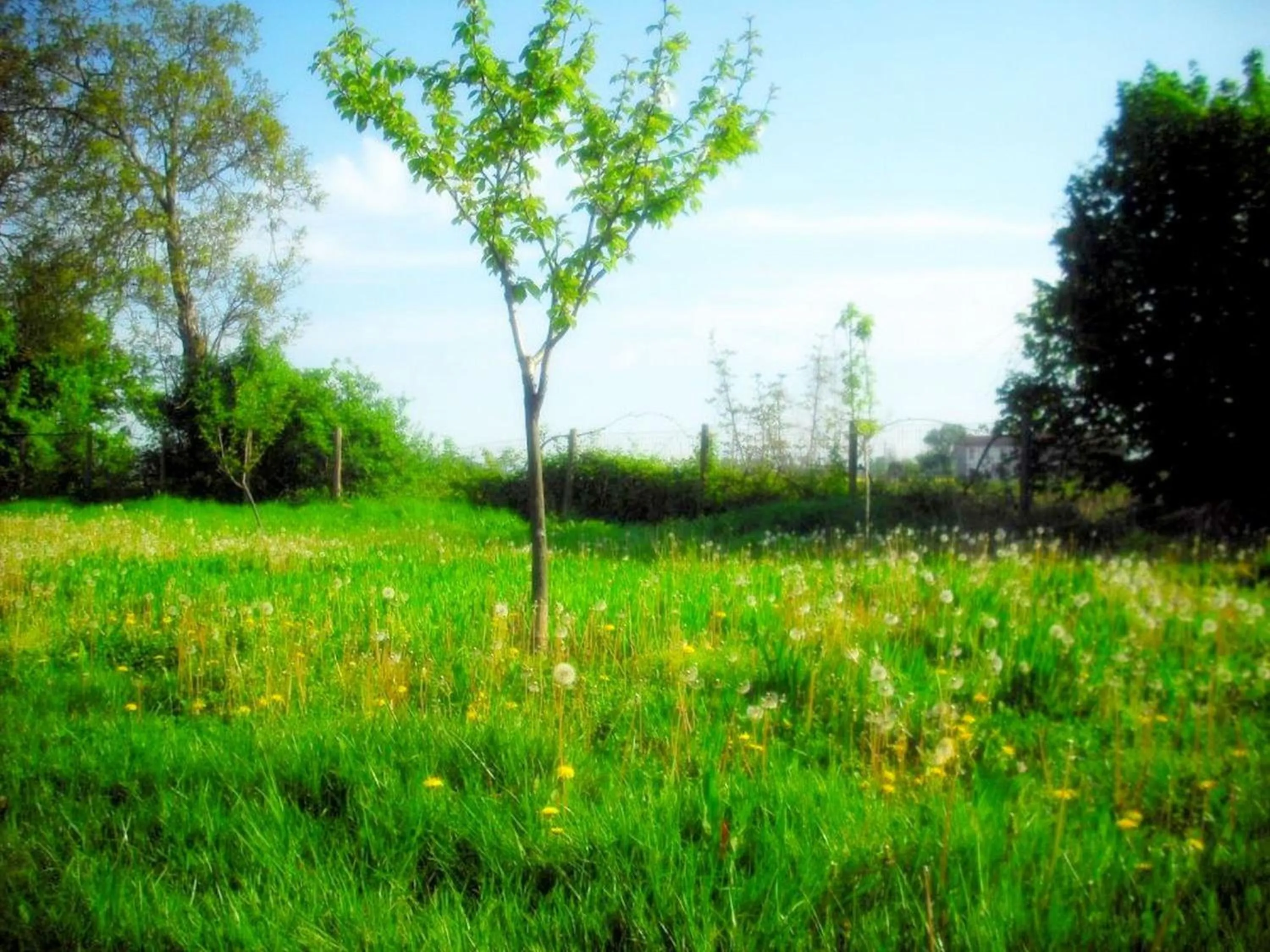 Spring in La Garzaga Turismo Rurale