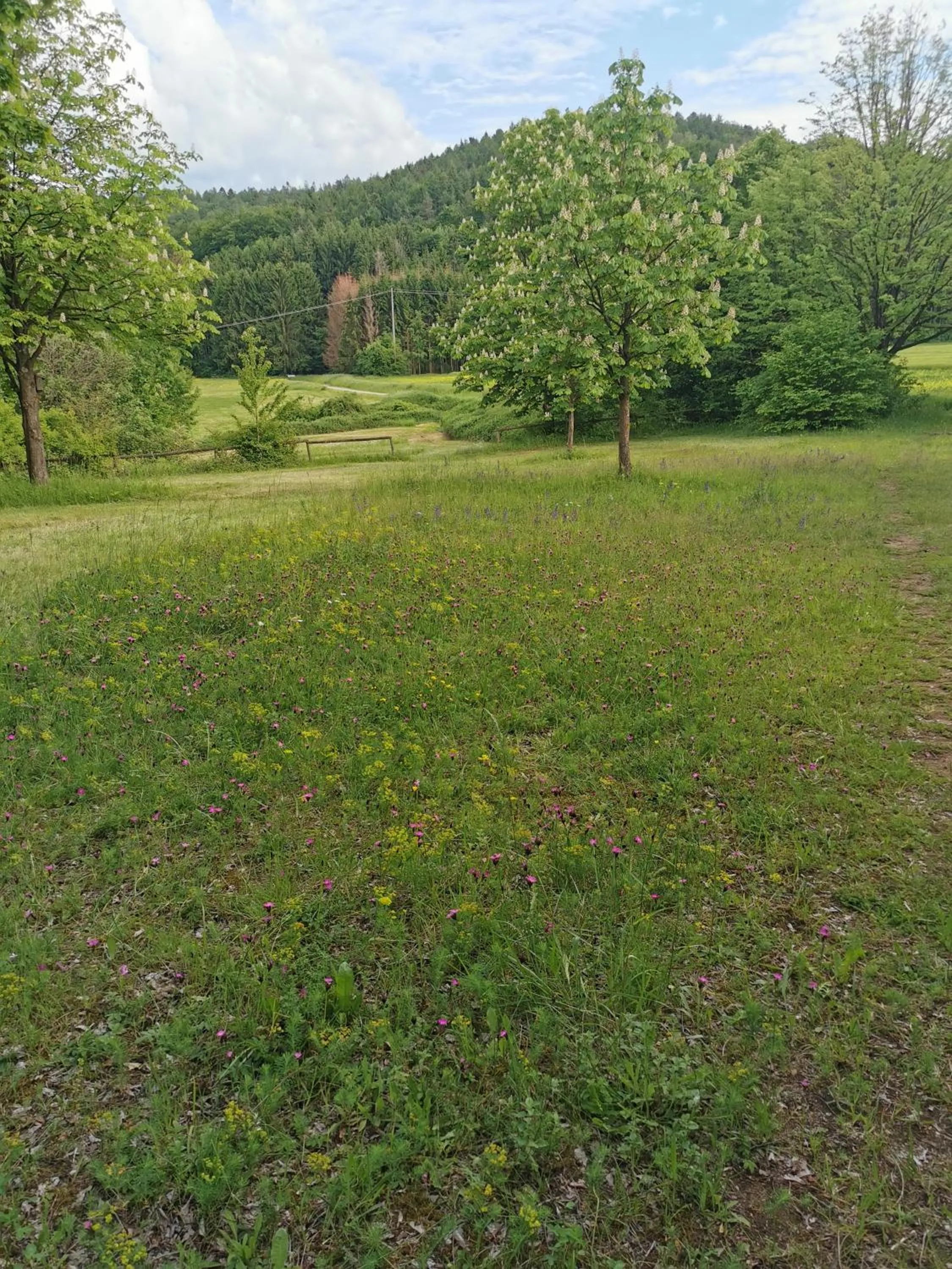 Off site in Landhotel Ölmühle