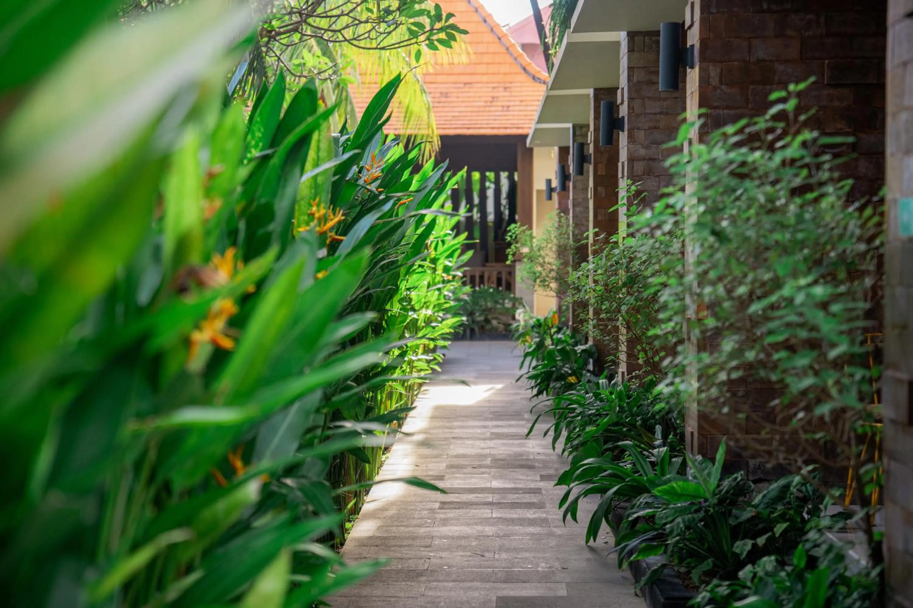 Garden in Arena Living