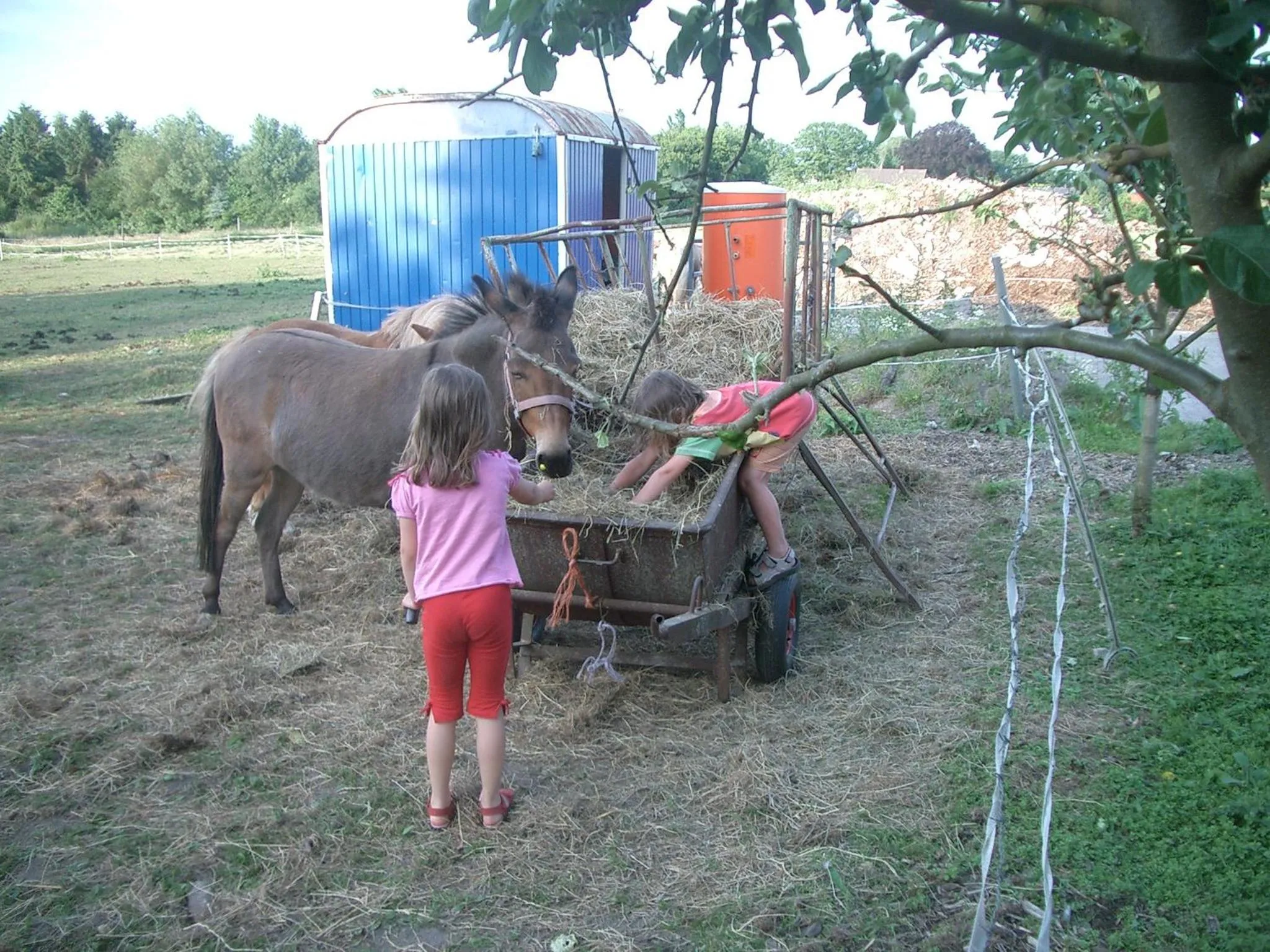 Ferienhof Meyer Landhotel