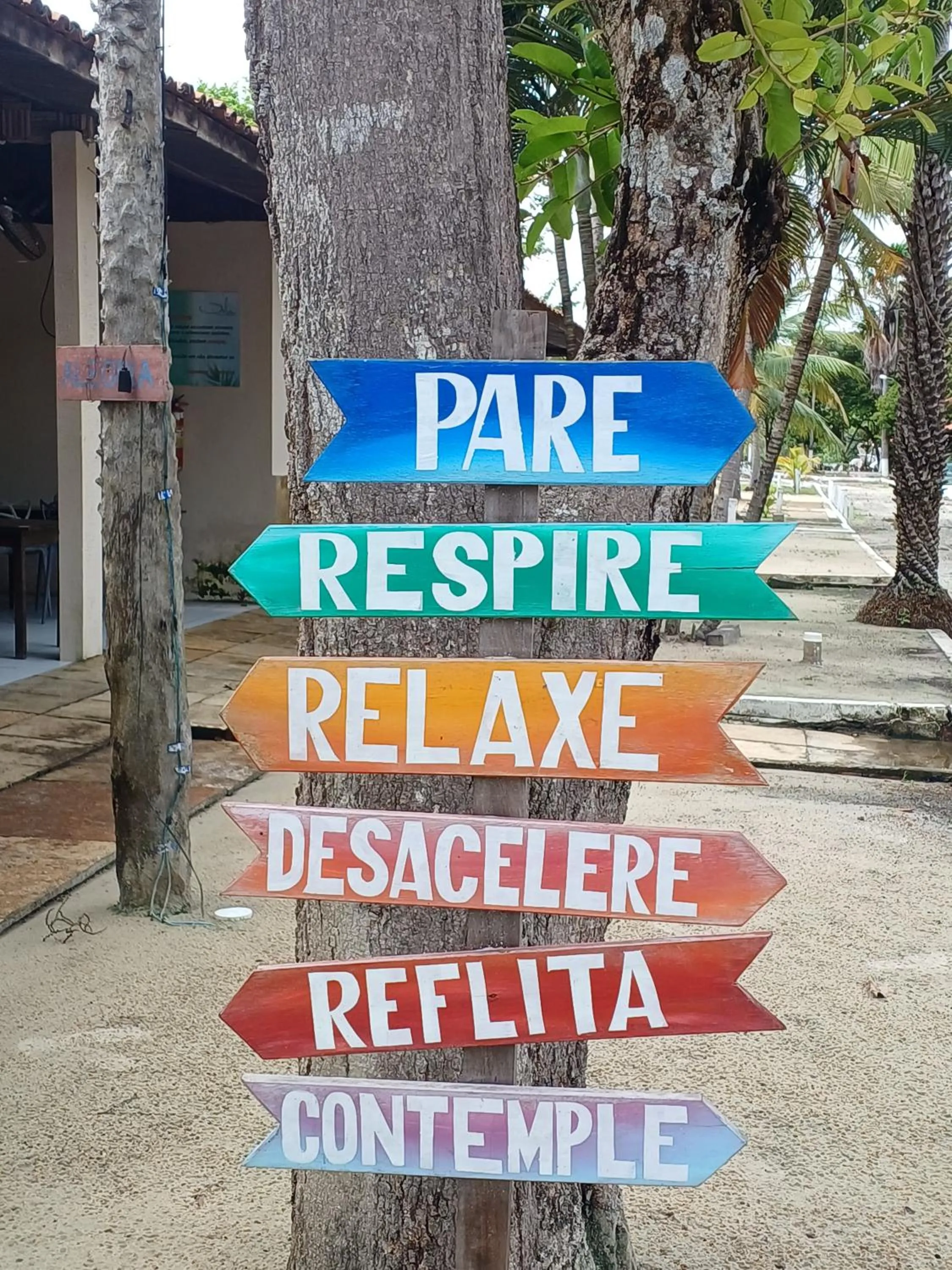 Logo/Certificate/Sign in Orla Nautica