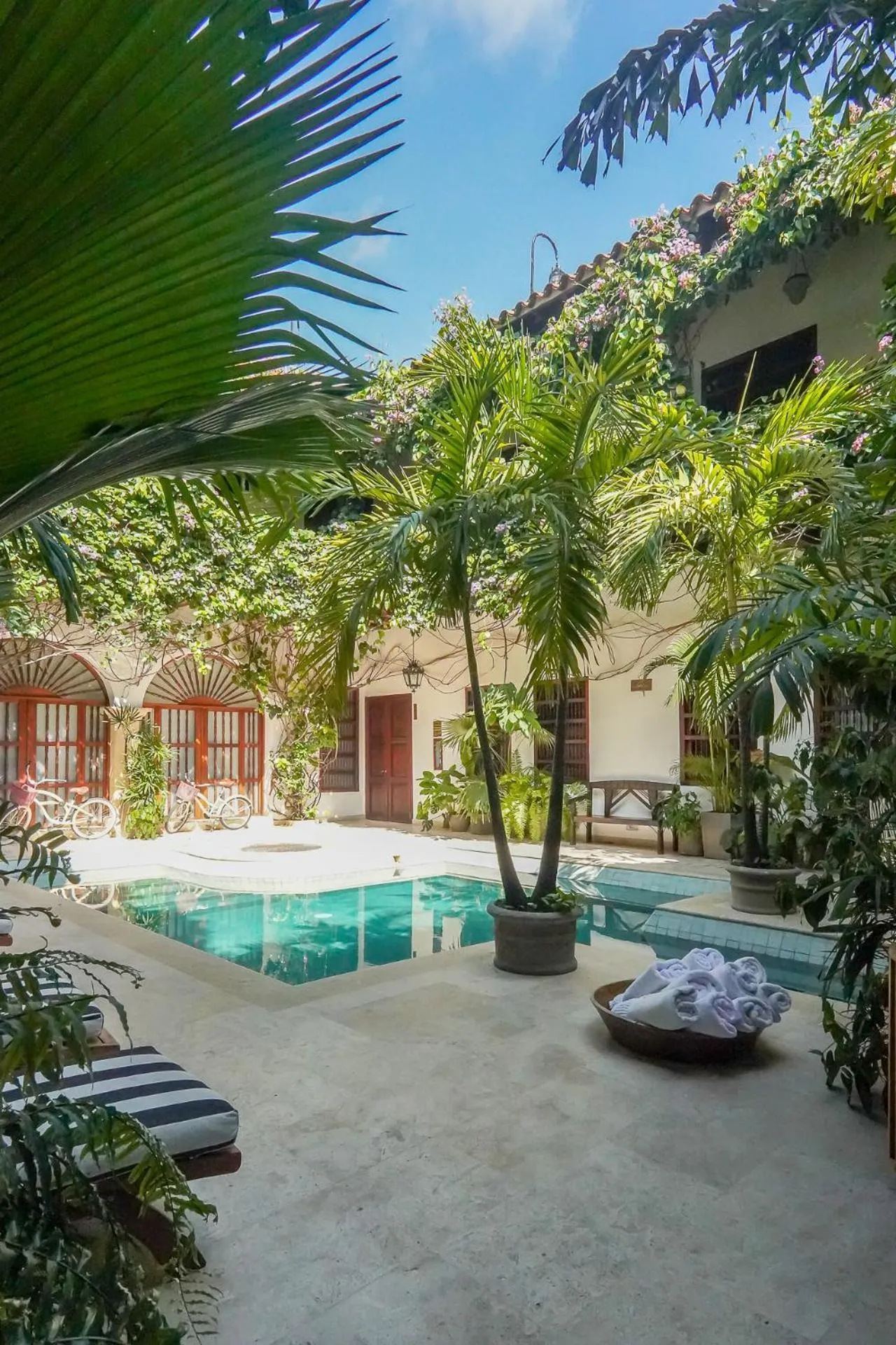 Garden view in Hotel Boutique Casa Del Arzobispado