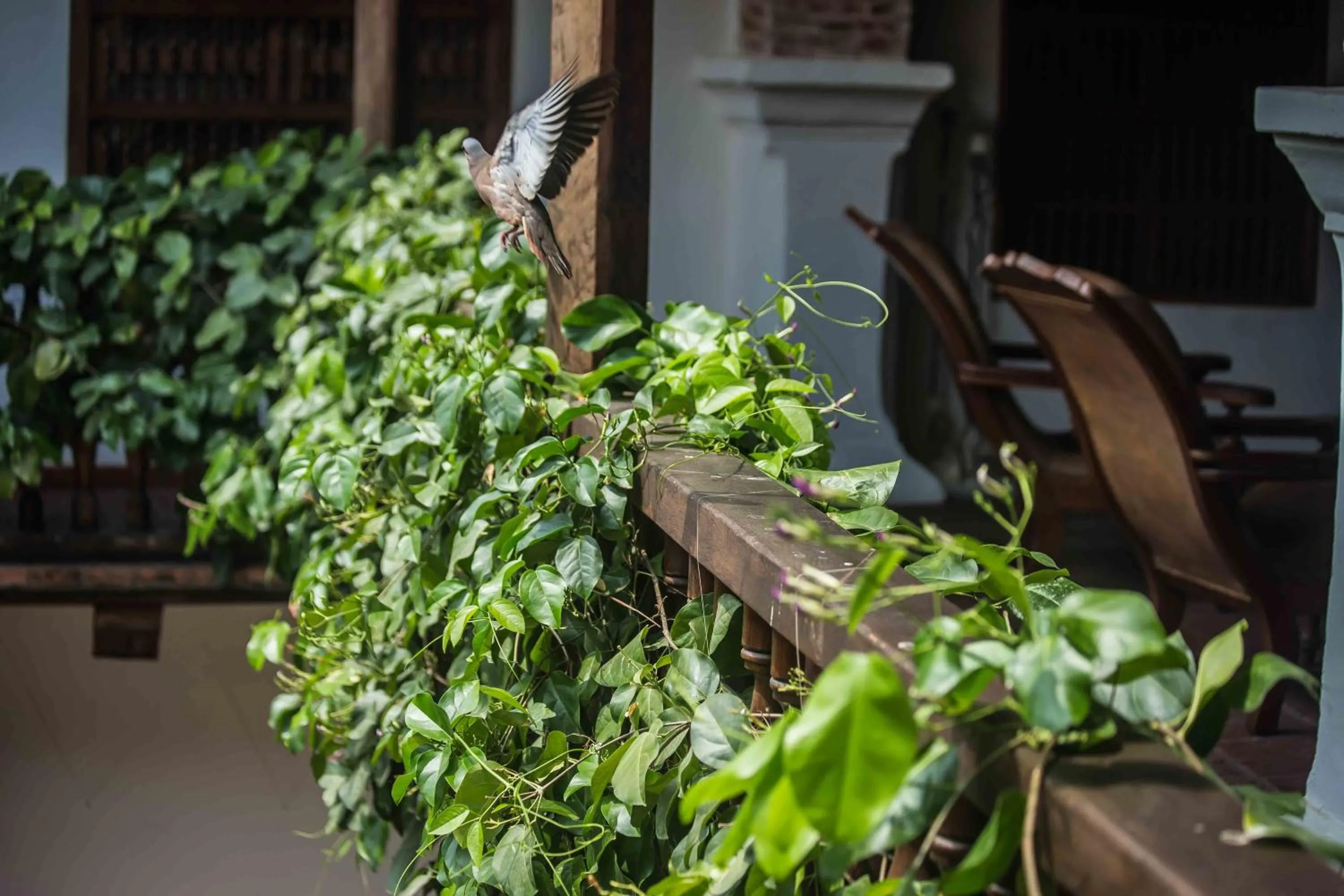 Other in Hotel Boutique Casa Del Arzobispado