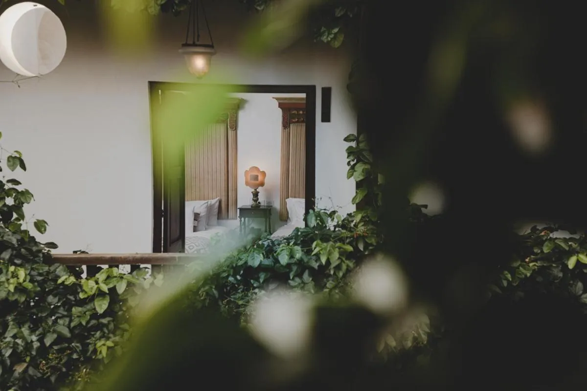 Garden in Hotel Boutique Casa Del Arzobispado