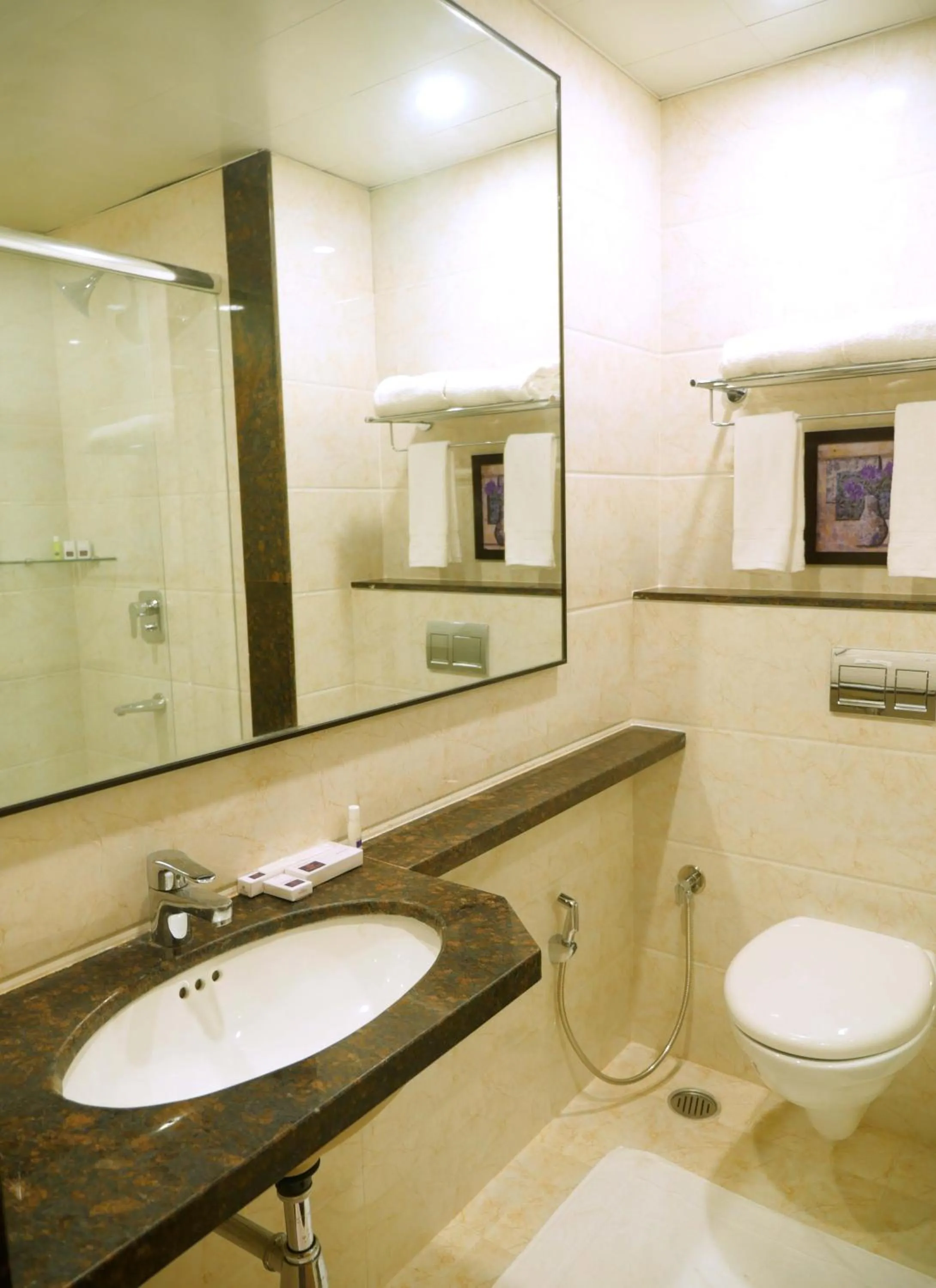 Toilet in ASR Parklane, A Bergamont Hotel - Hosur