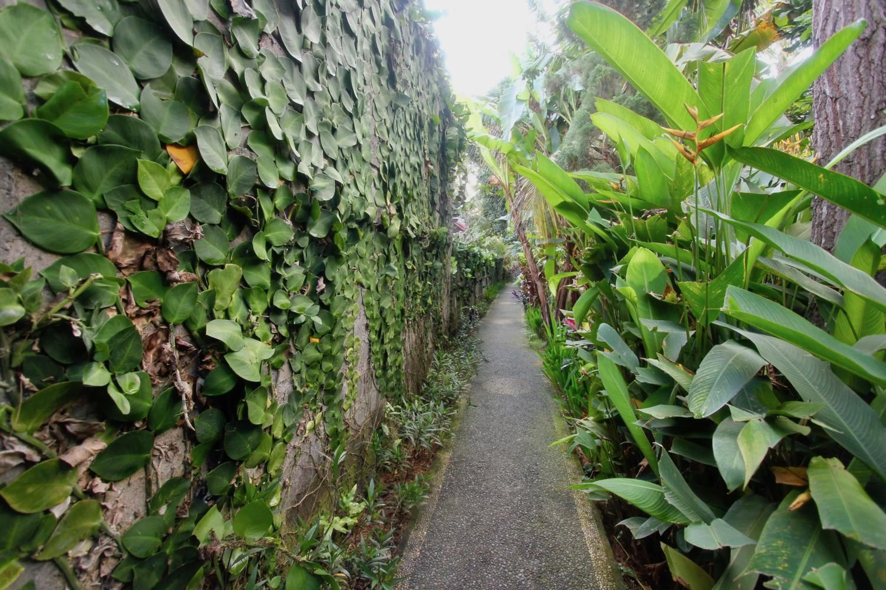 Patio in Rahayu House Ubud