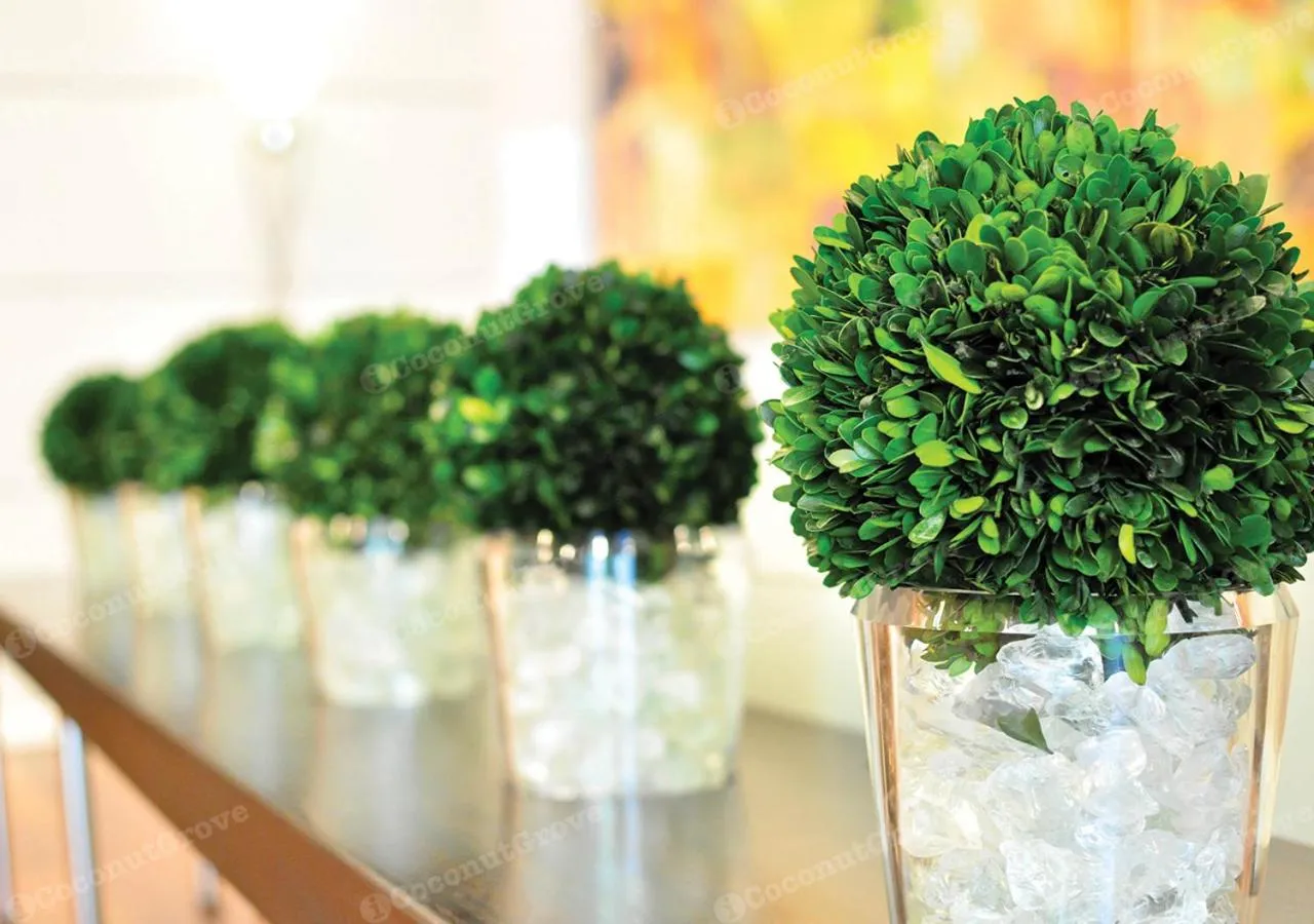 Lobby or reception in iCoconutGrove - Luxurious Vacation Rentals in Coconut Grove