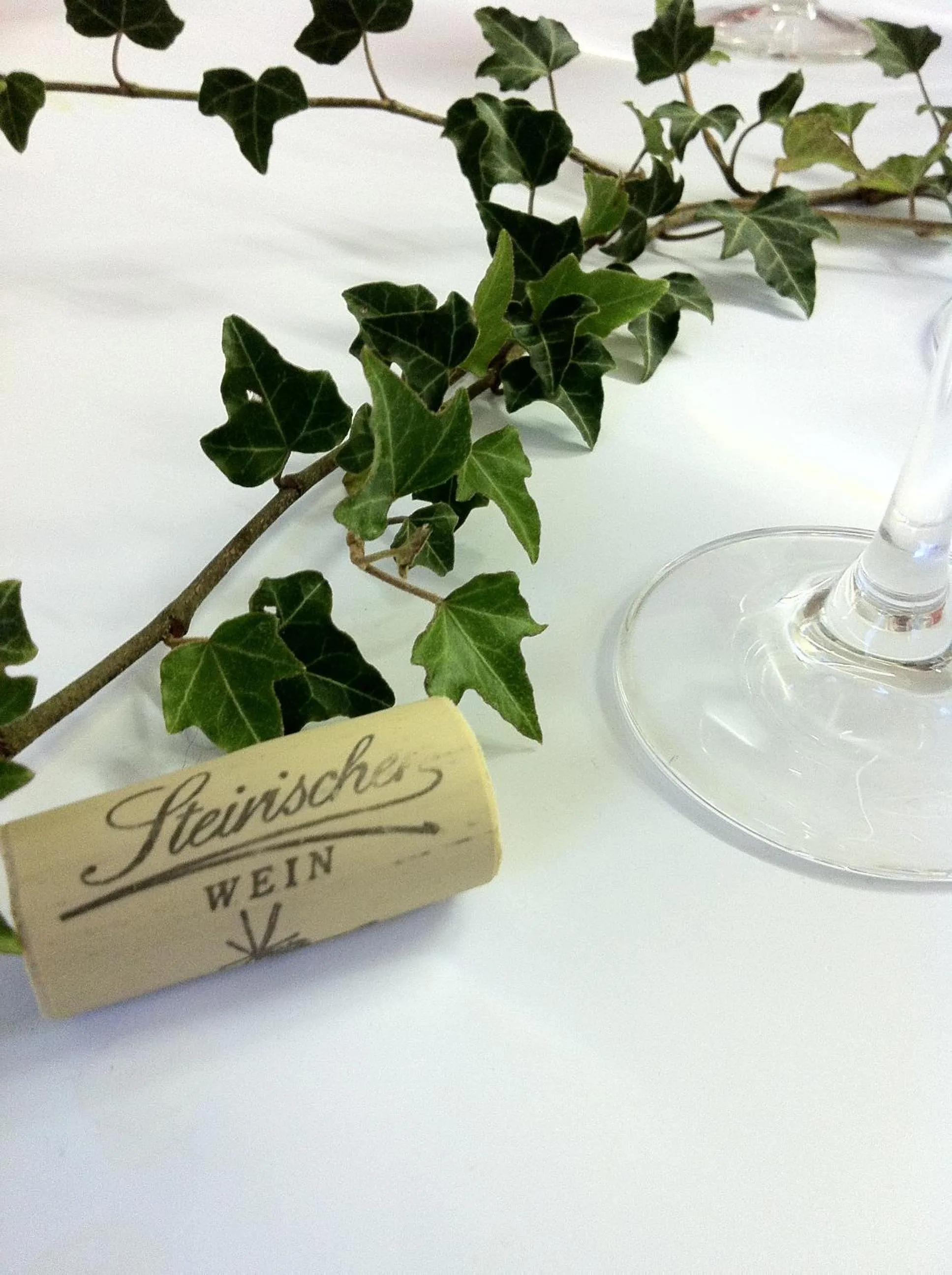 Drinks in Panoramahotel Steirerland