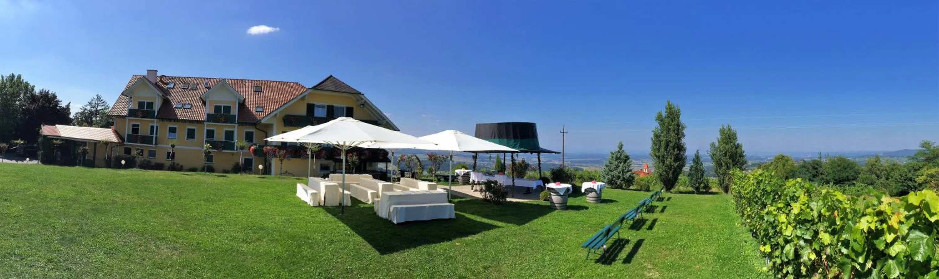 Food and drinks in Panoramahotel Steirerland