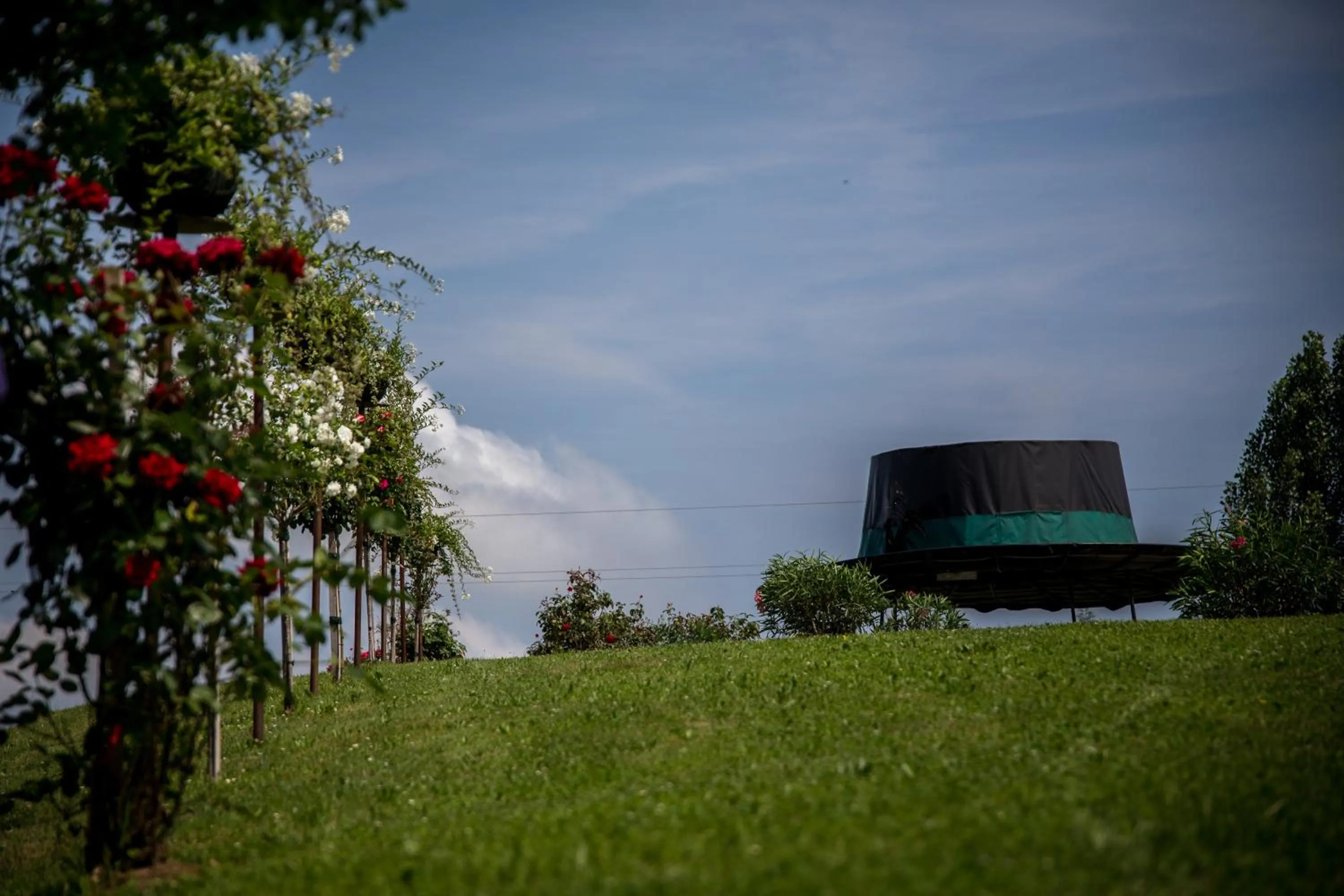 Summer in Panoramahotel Steirerland