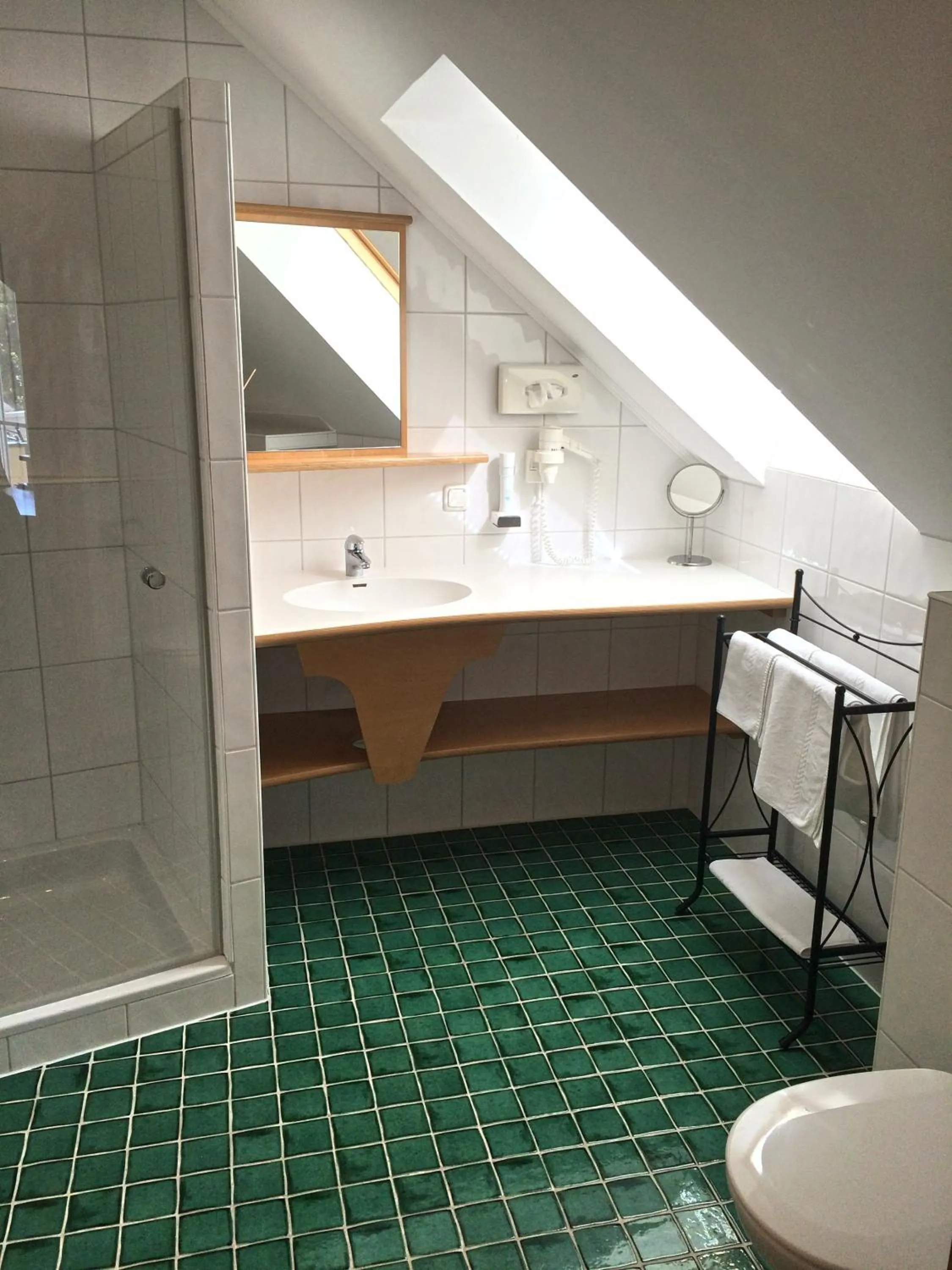 Shower in Panoramahotel Steirerland