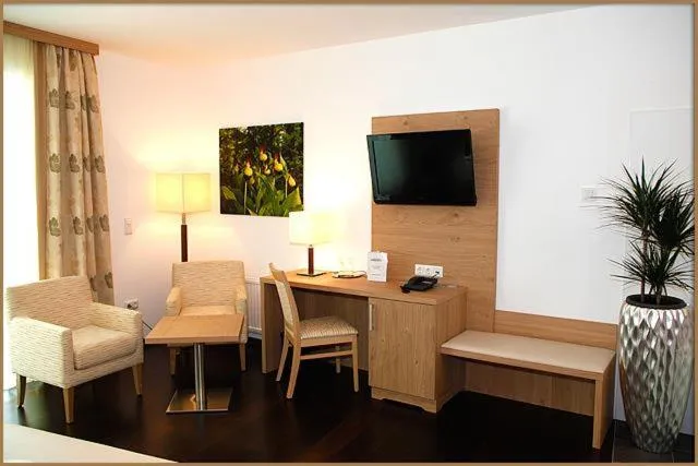 TV and multimedia in Relax- & Wanderhotel Poppengut