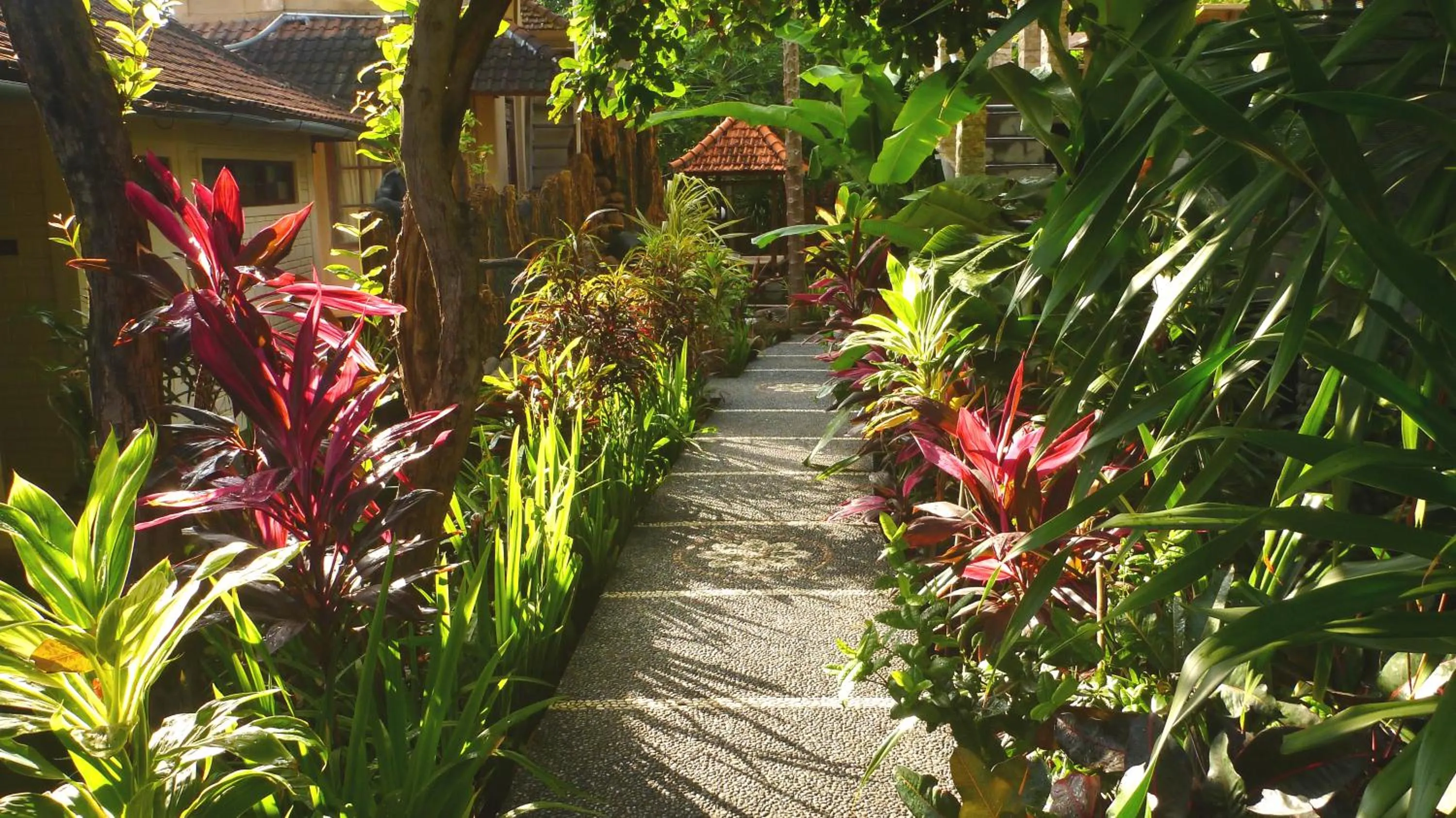 Garden in Amed Cafe & Hotel Kebun Wayan
