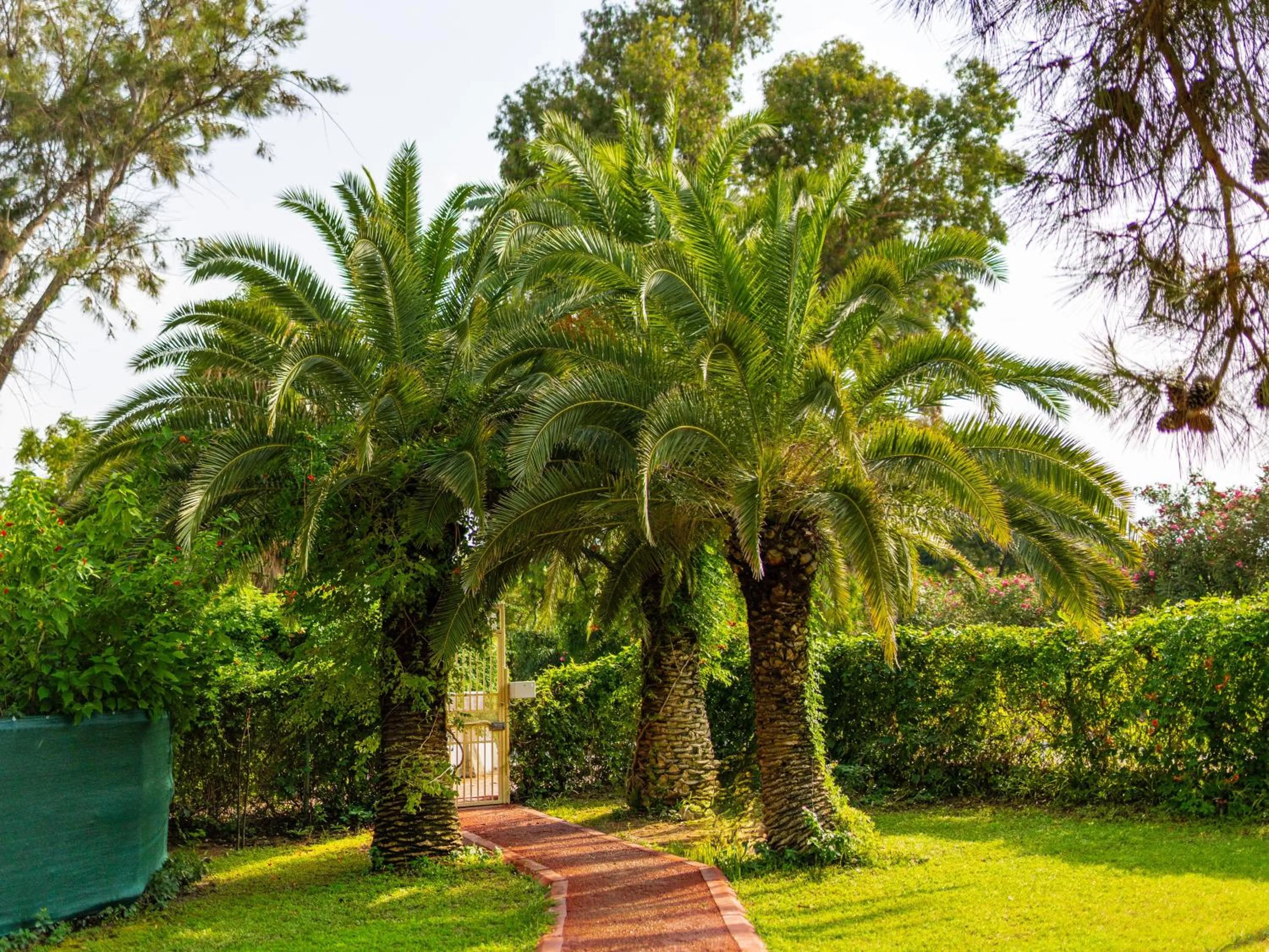 Garden in Asteria Collection Side